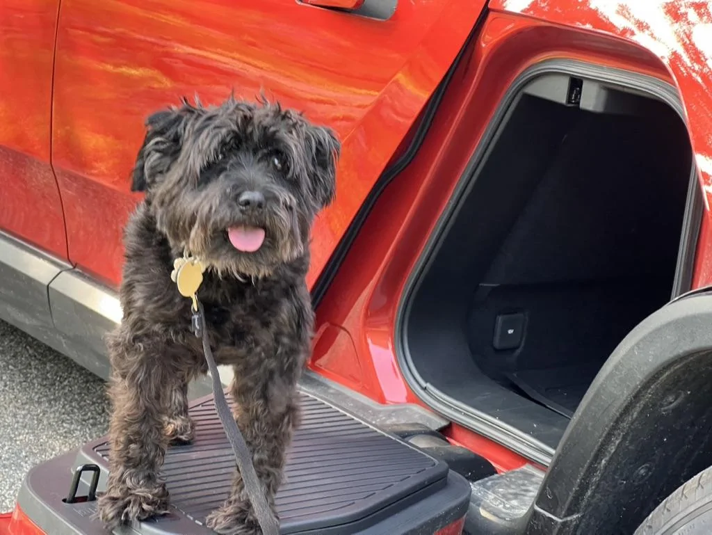 Rivian R1T R1S Dogs and Rivians ? 7CA7D9BF-1997-4490-B1E4-B6FE41A0329F_1_105_c