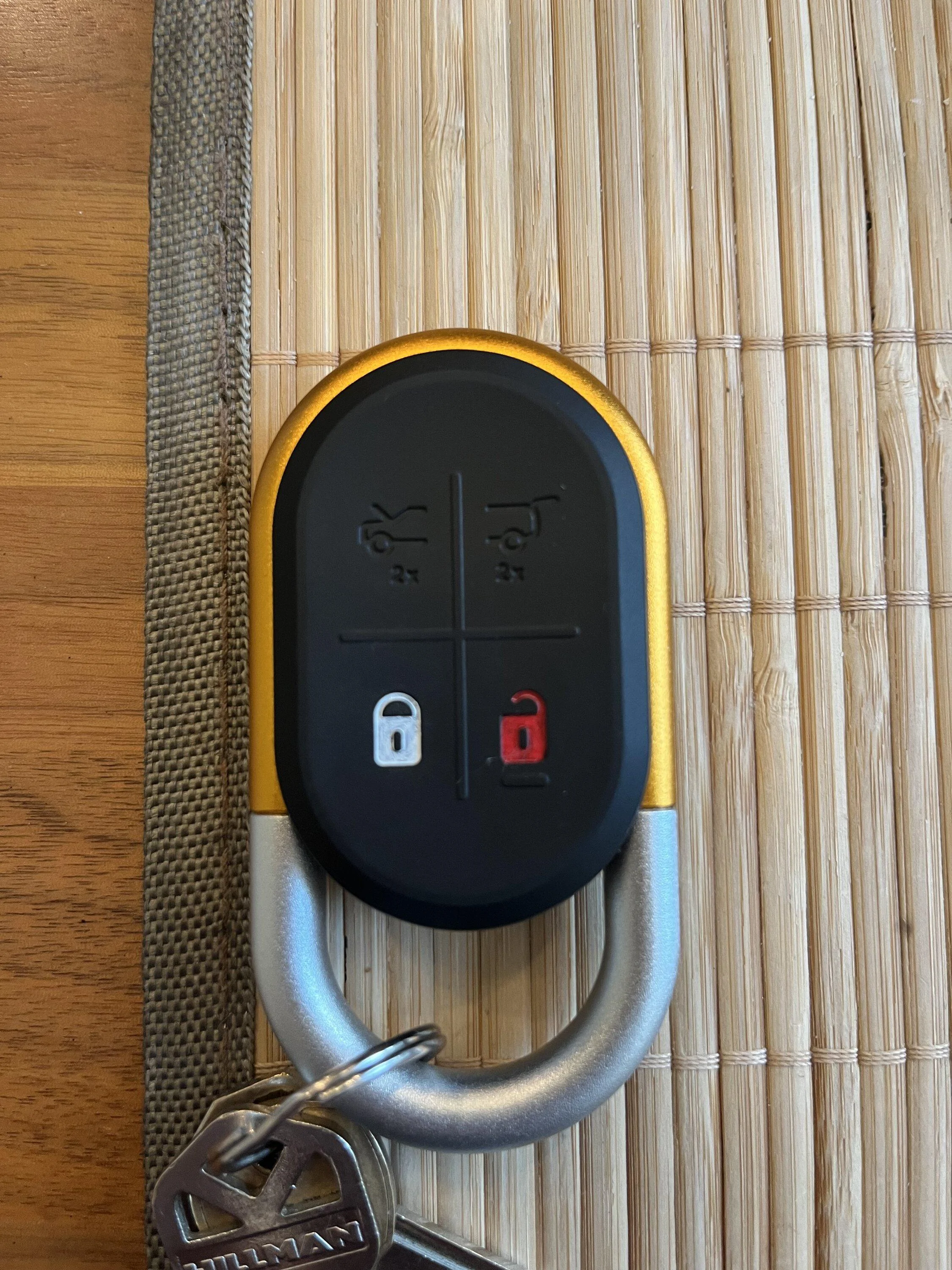 Rivian R1T R1S Fob + fine paint pen IMG_6438