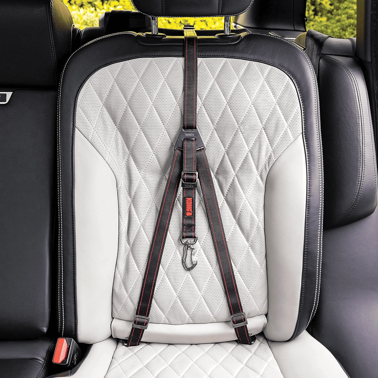 Rivian R1T R1S Dogs and Rivians ? 1693096109279