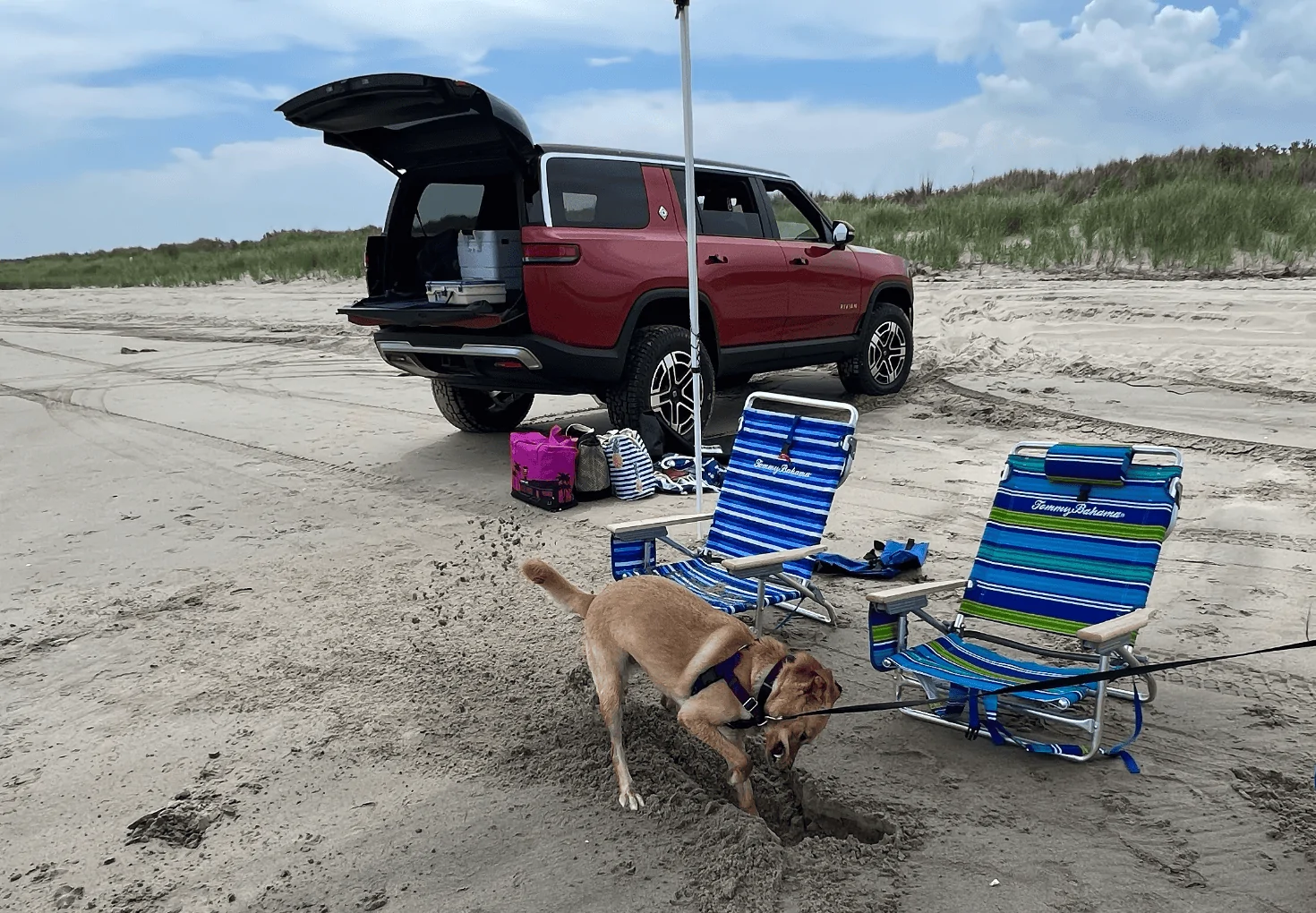 Rivian R1T R1S Rivian off roading photos -- post yours! 1693331623958