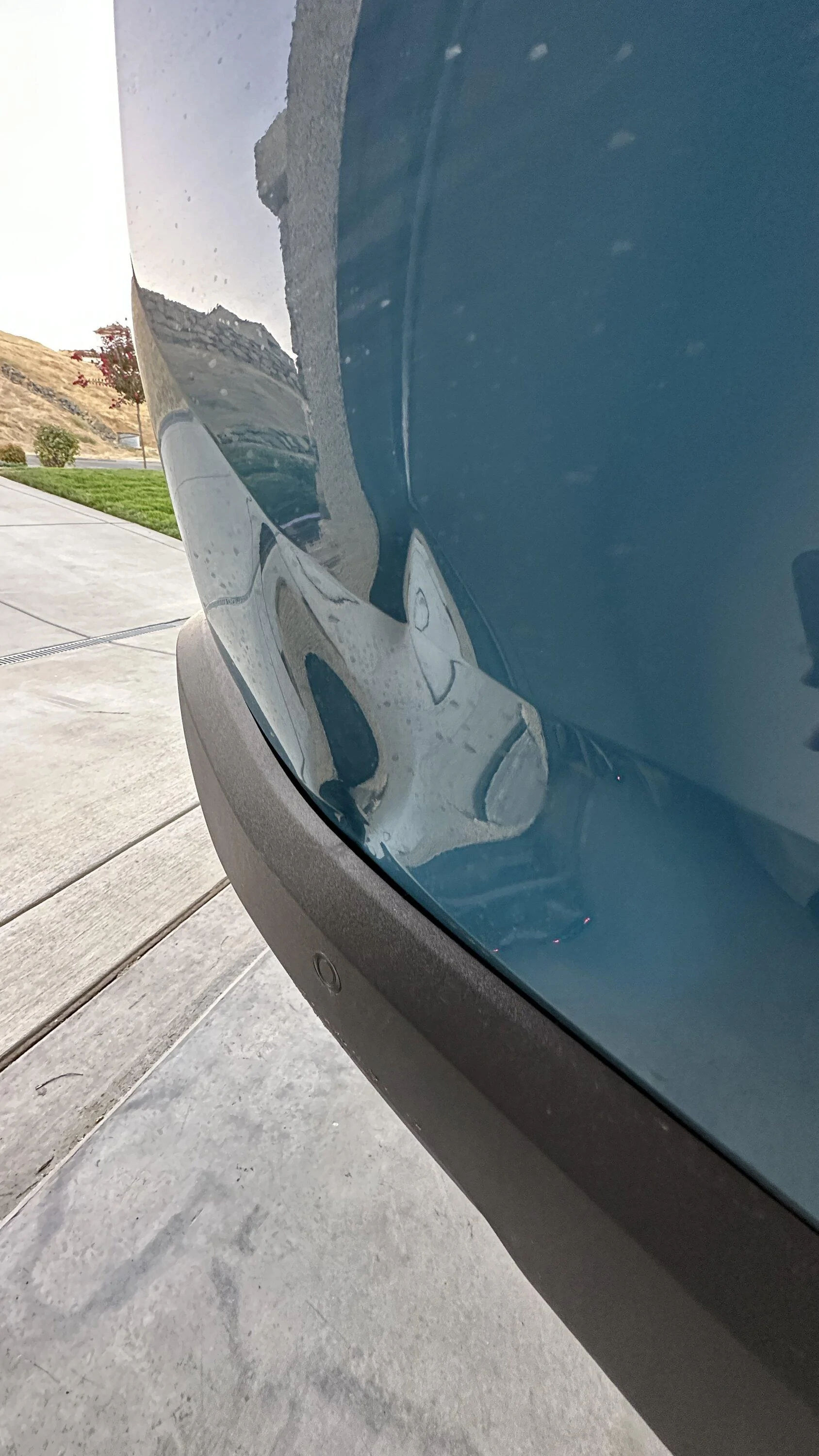 Rivian R1T R1S Wow a $41k dent (quoted for bedside replacement). Saved by PDR paintless dent removal repair IMG_5850
