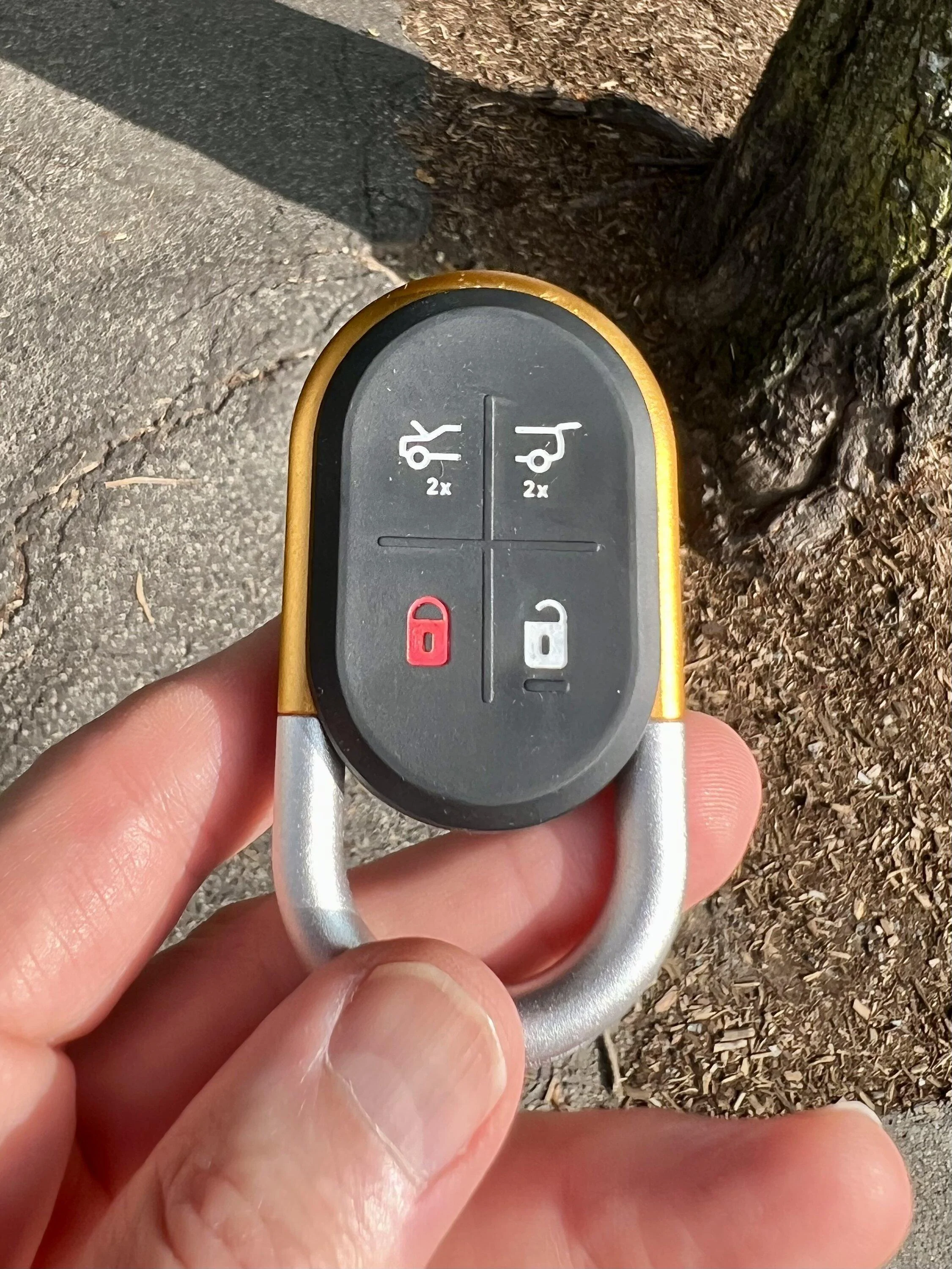 Rivian R1T R1S Fob + fine paint pen IMG_5239