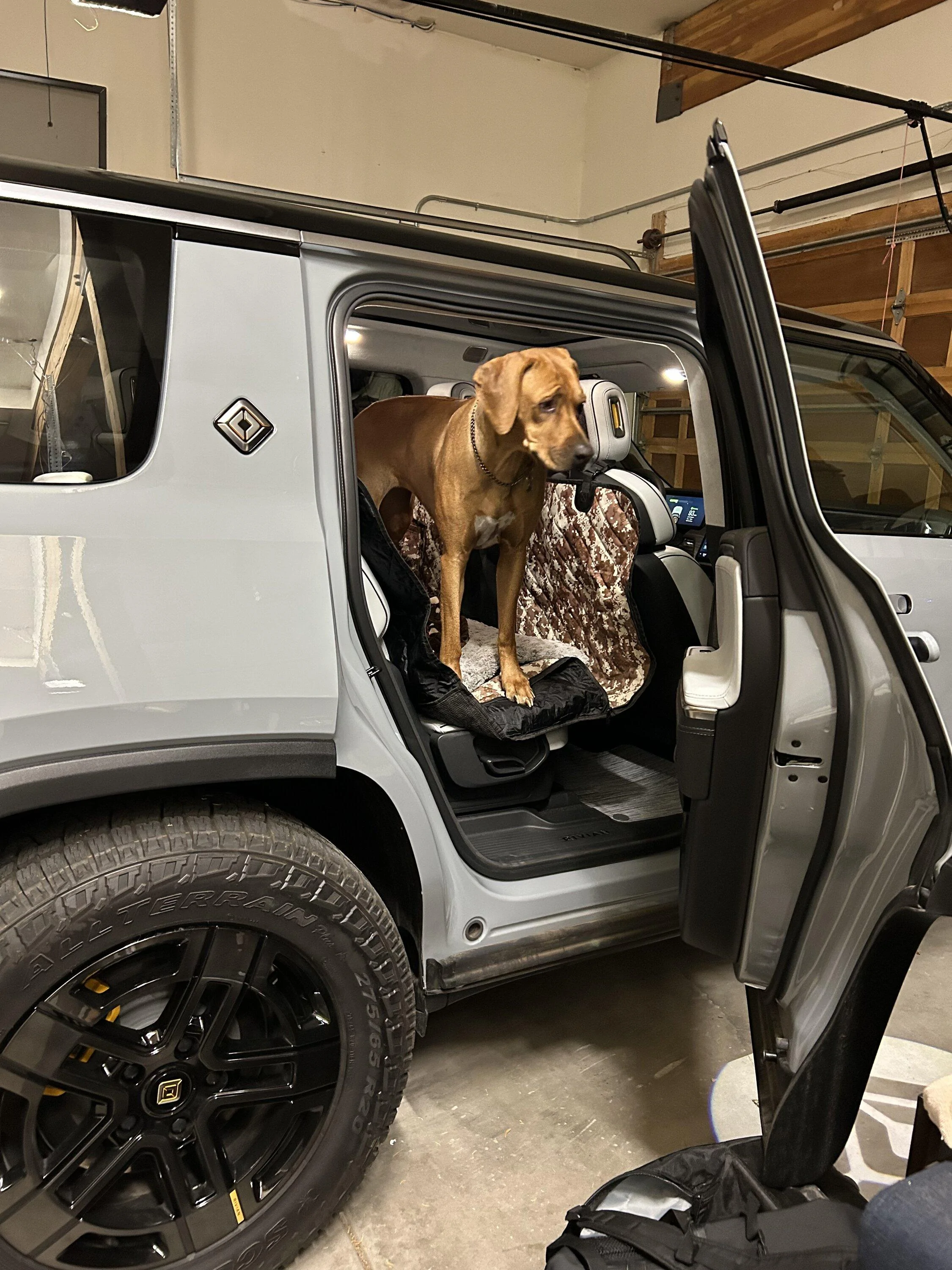 Rivian R1T R1S Dogs and Rivians ? IMG_0800