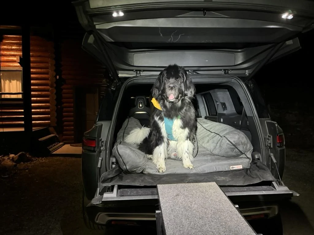 Rivian R1T R1S Dogs and Rivians ? E0577591-3242-4DDE-9ABB-3D380C71806F_1_105_c