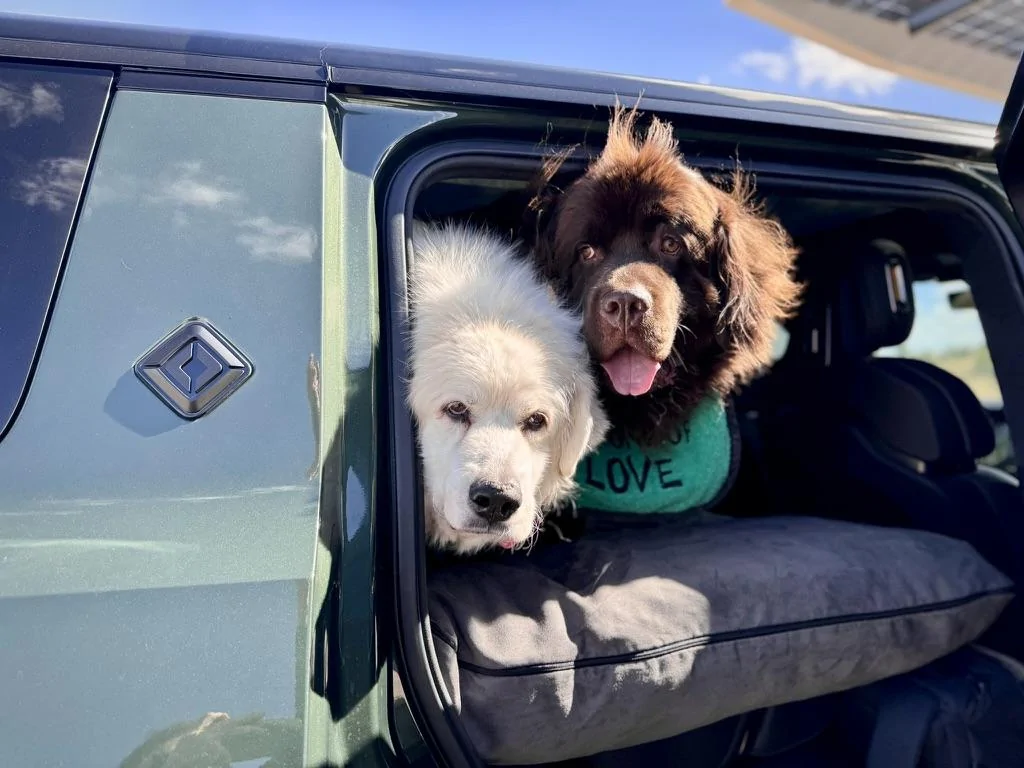 Rivian R1T R1S Dogs and Rivians ? A3091AF0-7C8E-4AB4-B311-CAA9CA7B409F_1_105_c