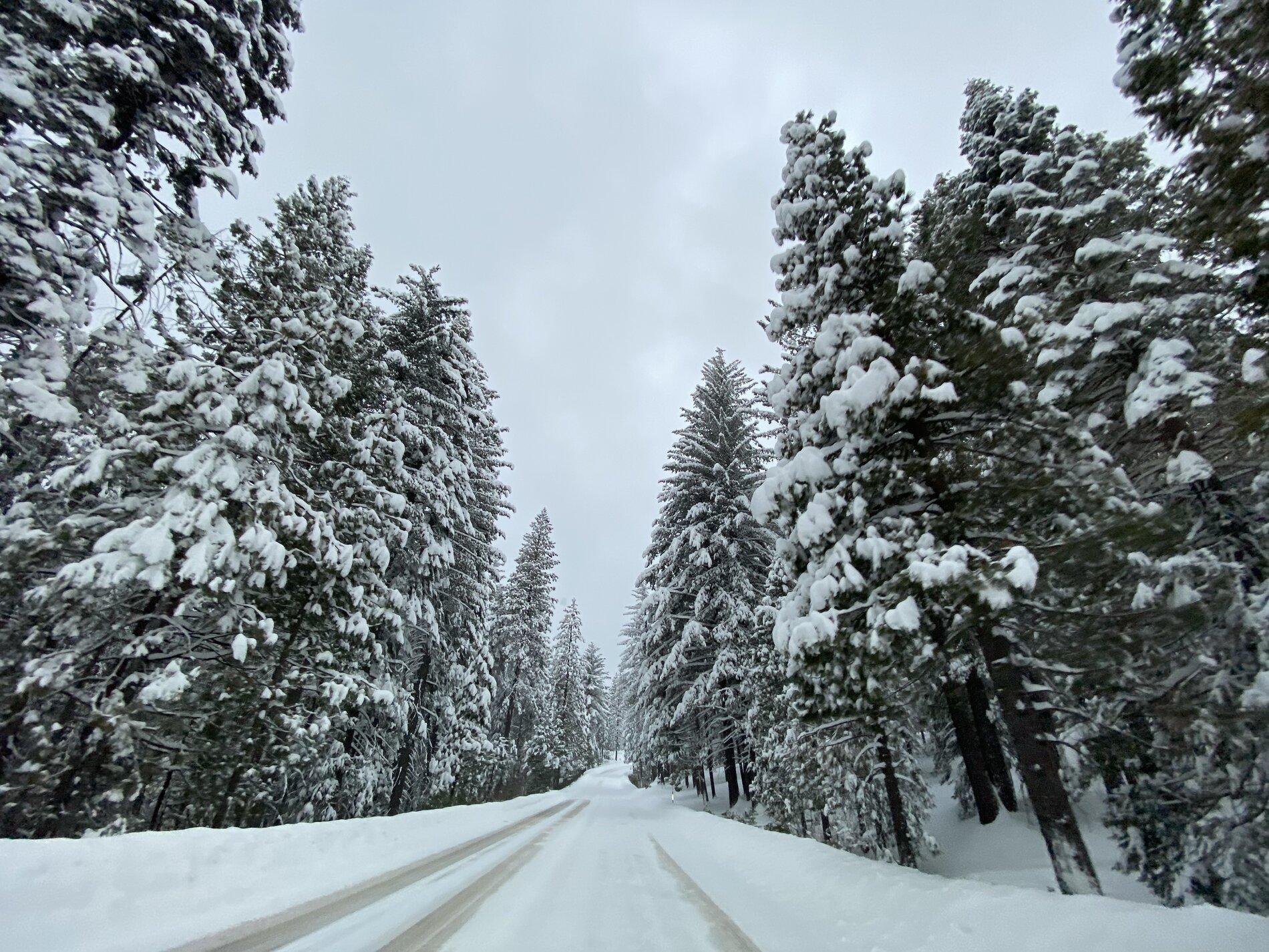 Rivian R1T R1S California | Real-world experience driving in R-1/R-2 road conditions…? 8D9A41BE-FE01-4850-A5E6-184002A44C7C