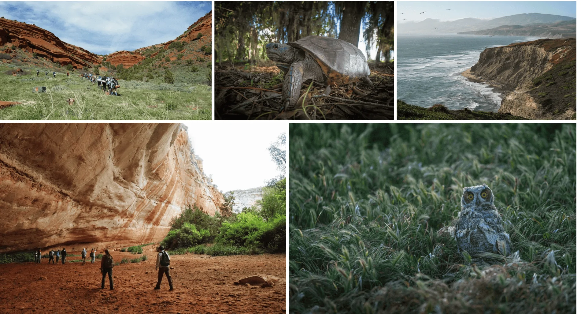 Rivian R1T R1S Official Rivian Stories: PROTECTING WHAT WE LOVE - Partnership with The Nature Conversancy 1631124277126