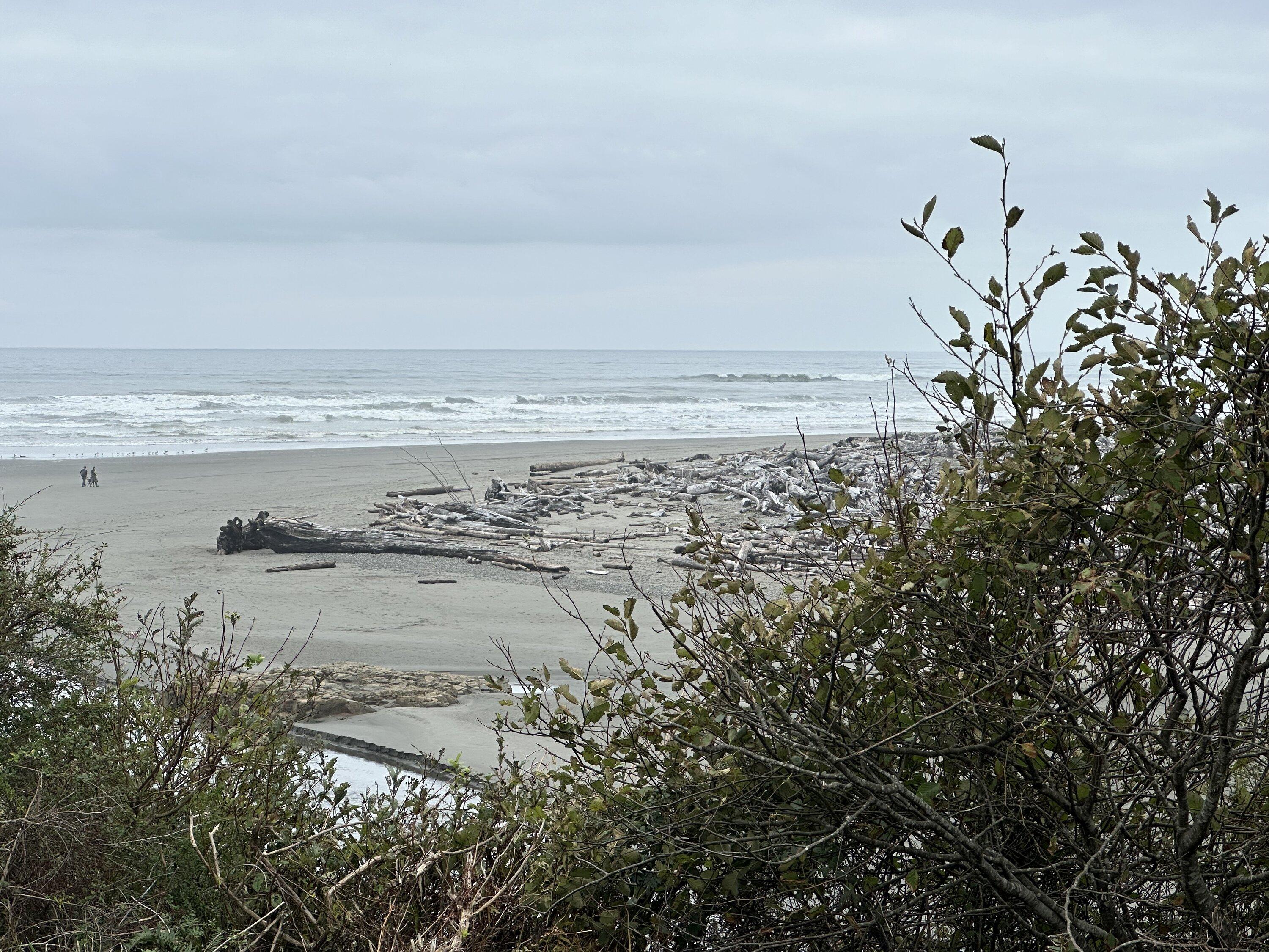 Rivian R1T R1S Lapped the Olympic Peninsula today with R1S IMG_0458