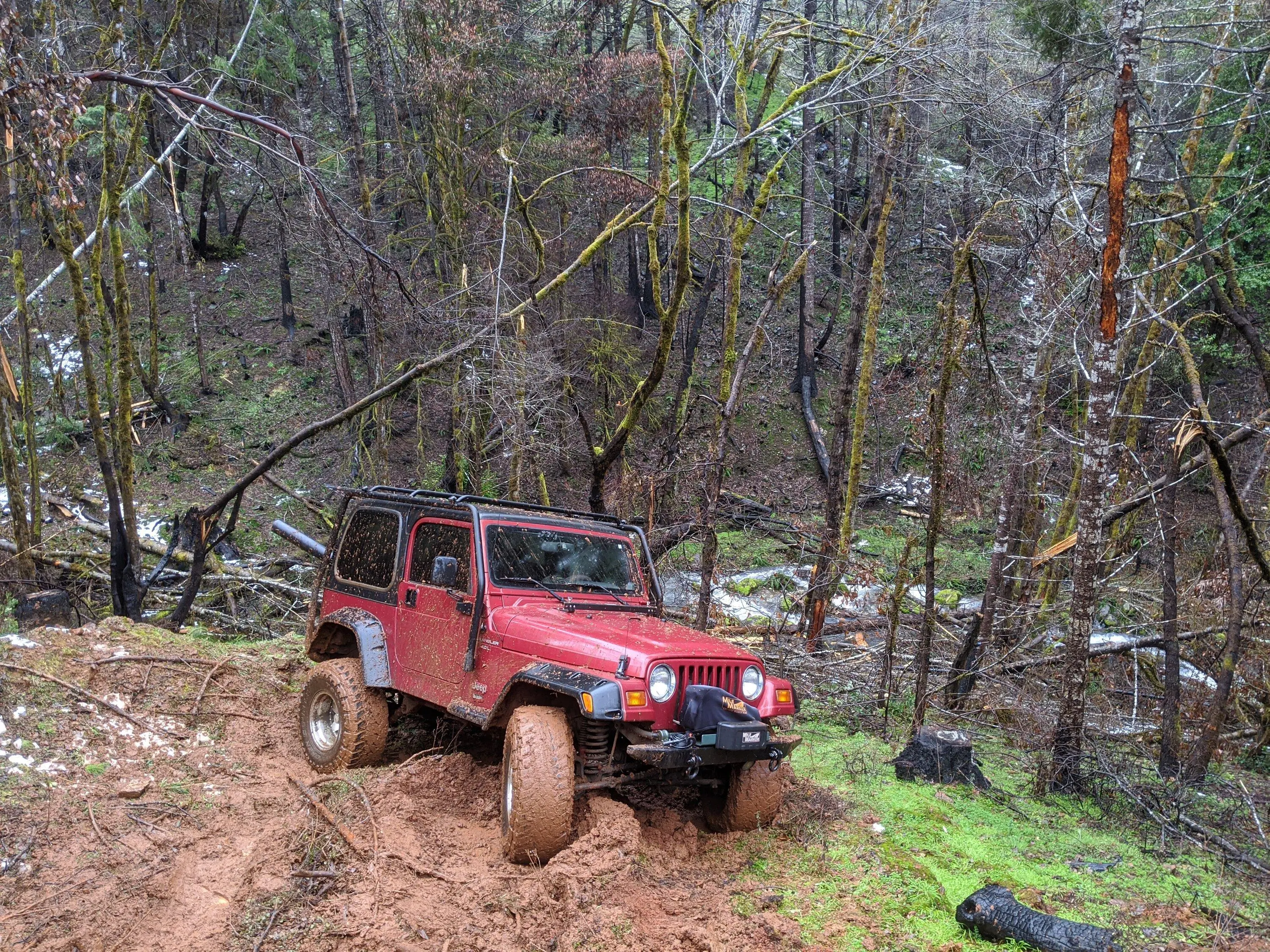 Rivian R1T R1S Speaking of diffs 1000001194