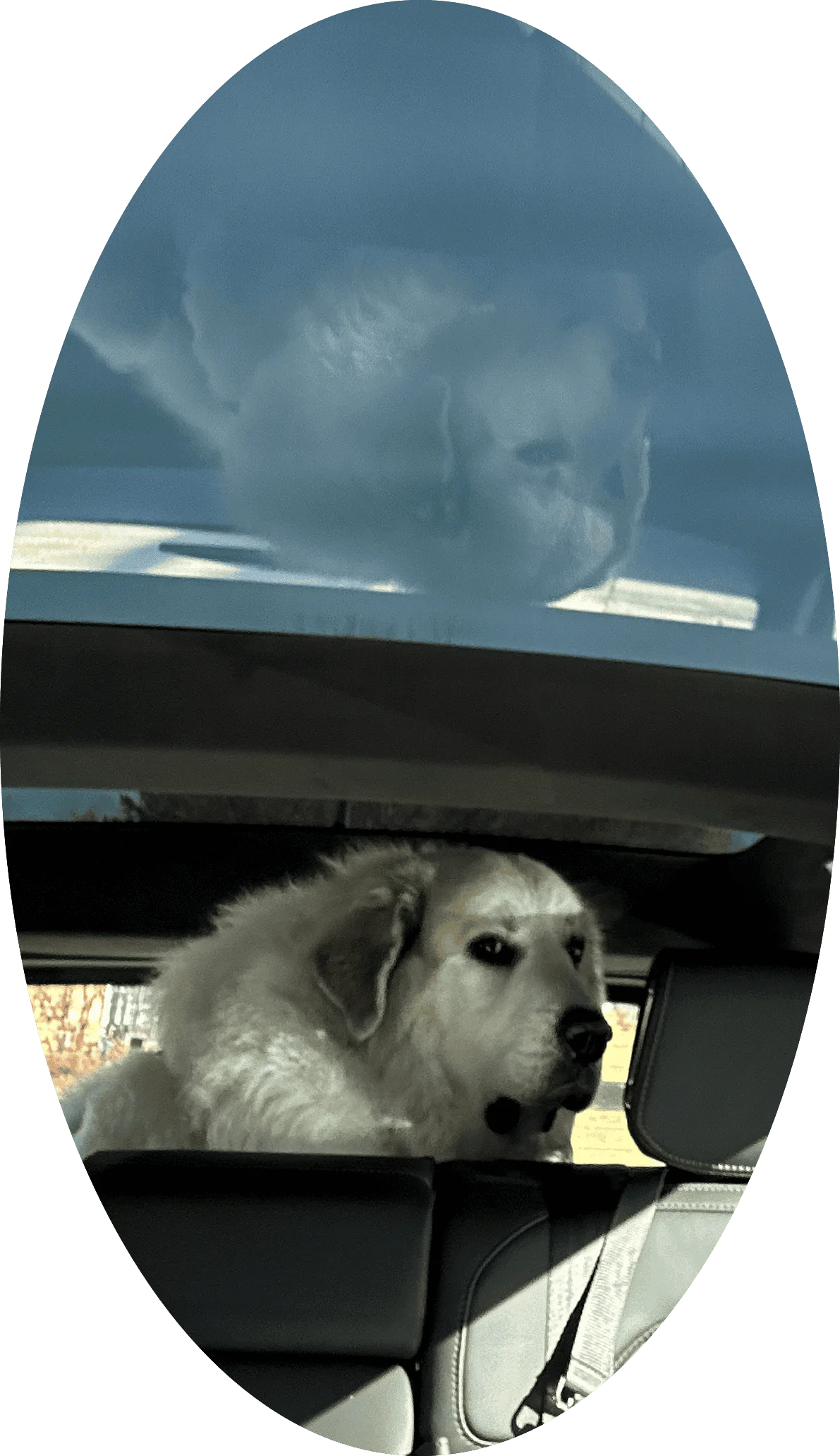m7zfysI.png
