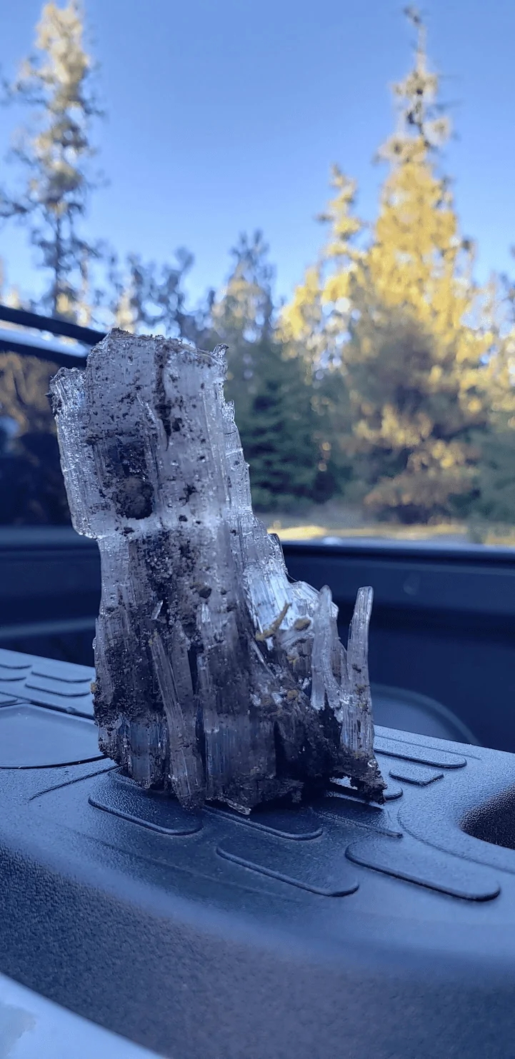 Rivian R1T R1S The Bike Tailgate Pad makes a perfect Christmas Tree transporter - Our day trip in the mountains 1701050021644