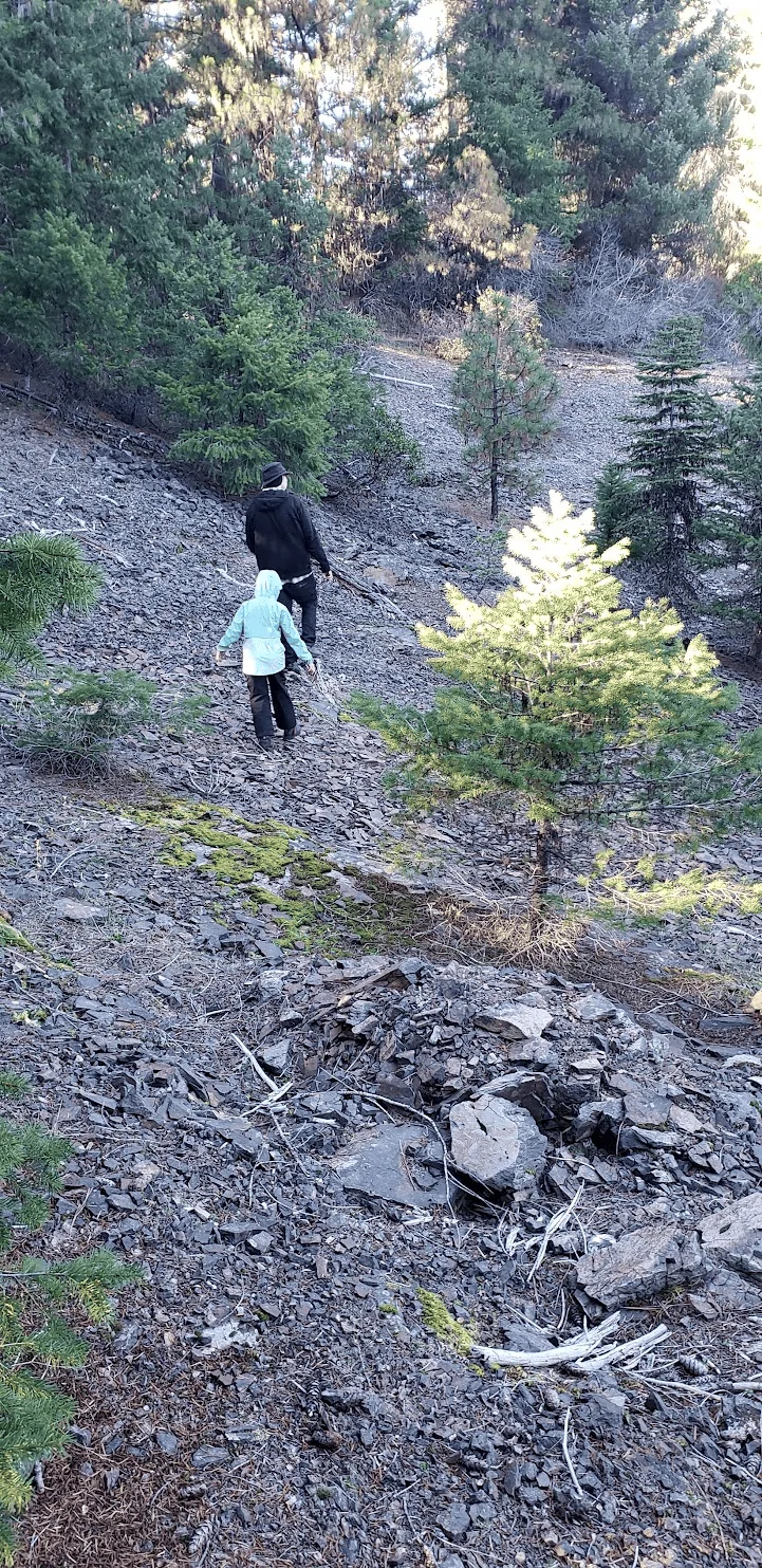 Rivian R1T R1S The Bike Tailgate Pad makes a perfect Christmas Tree transporter - Our day trip in the mountains 1701050136258