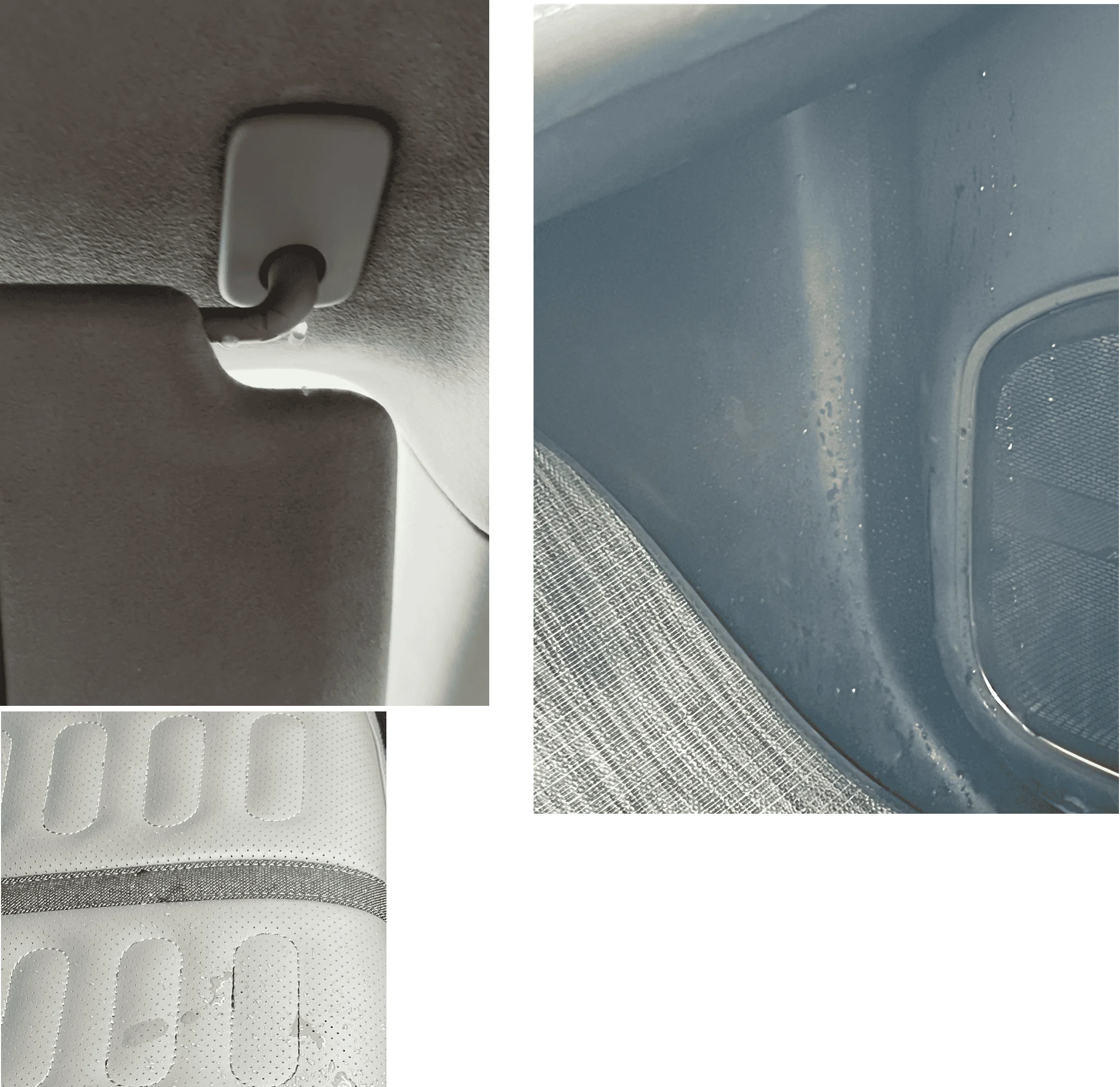 Rivian R1T R1S R1S roof leak? Leak