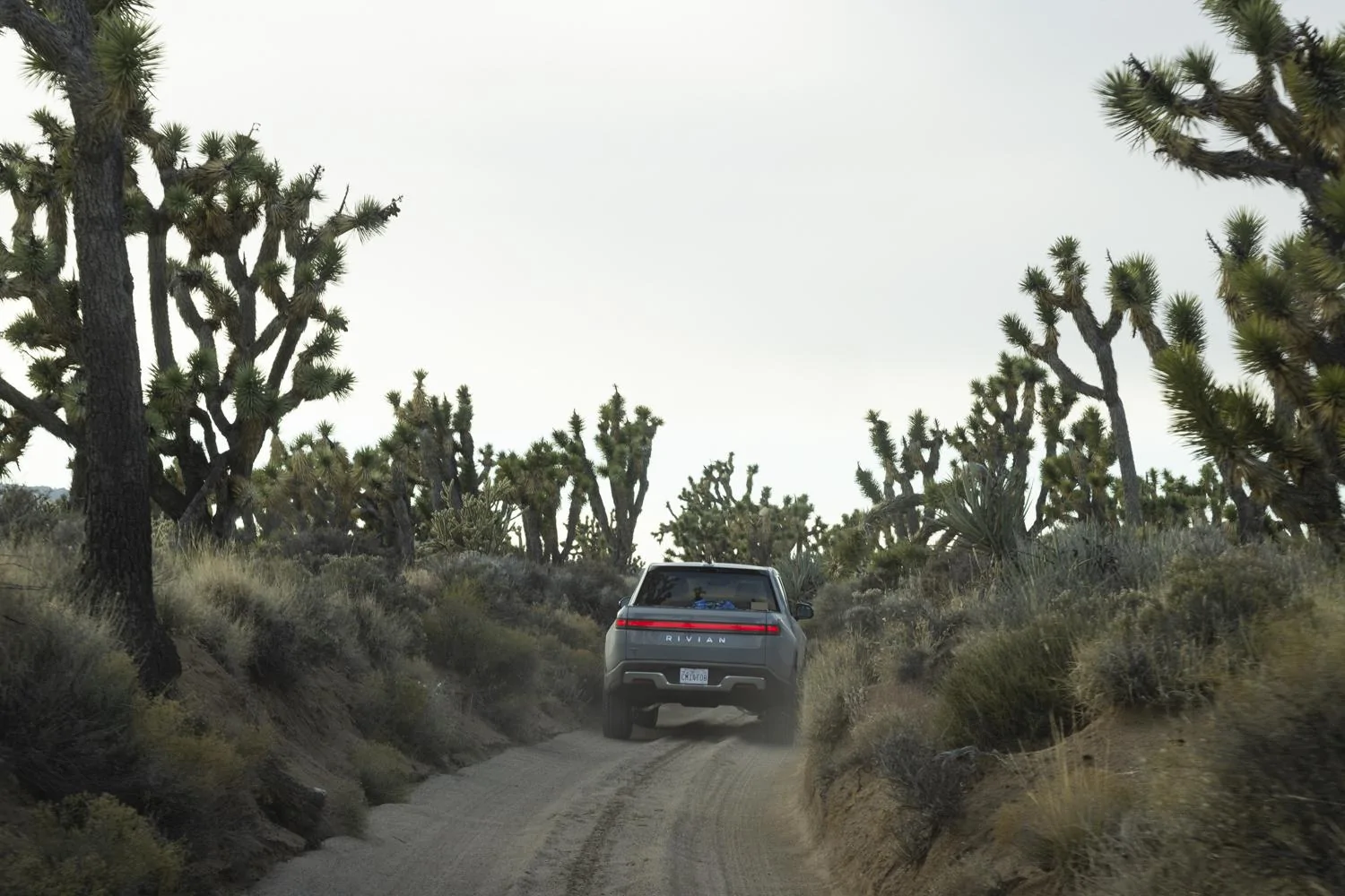 Rivian R1T R1S The Mojave Road_Trip Report _02a3407