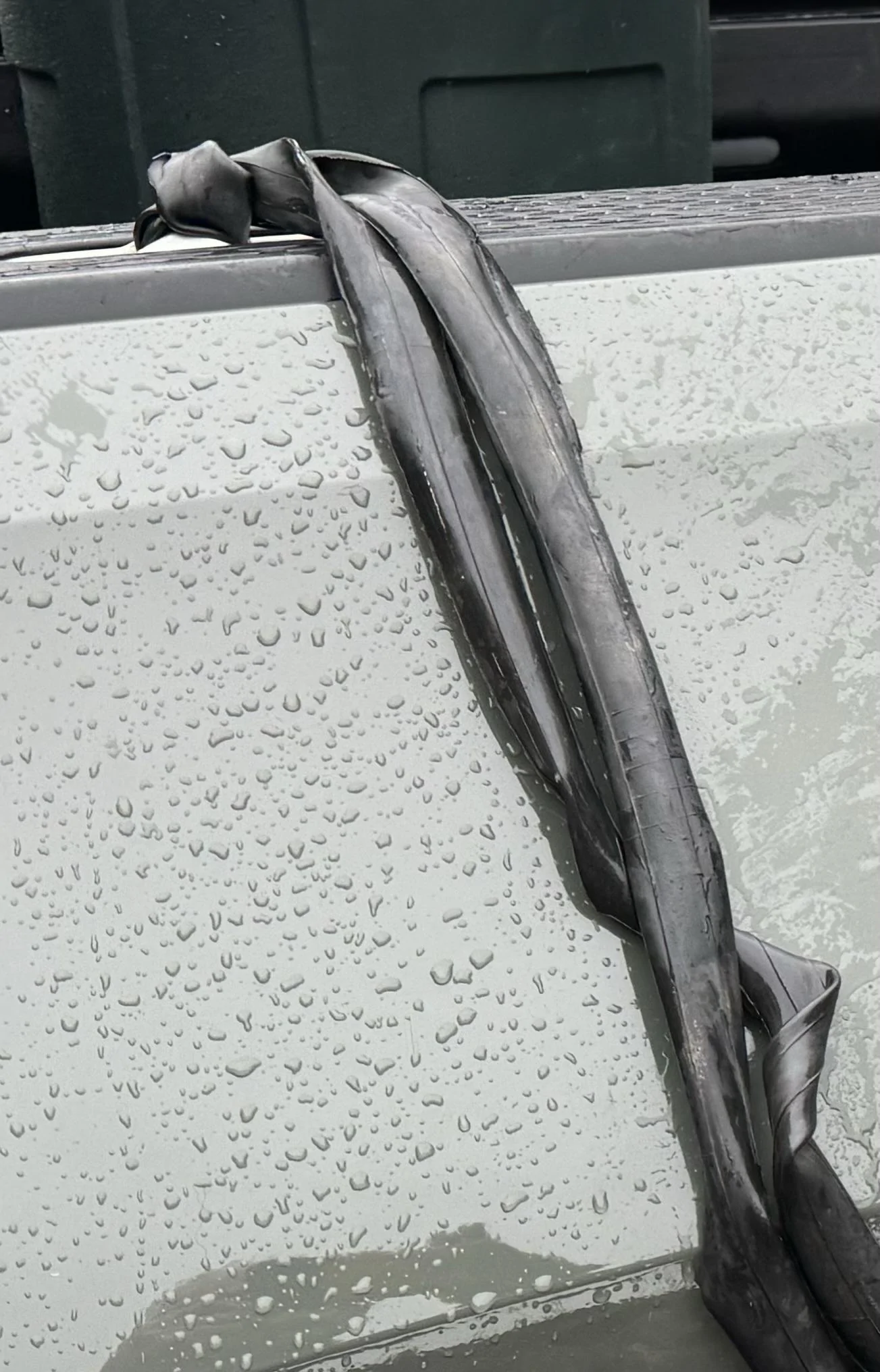 Rivian R1T R1S Gear guard cable won’t lock/unlock IMG_1287