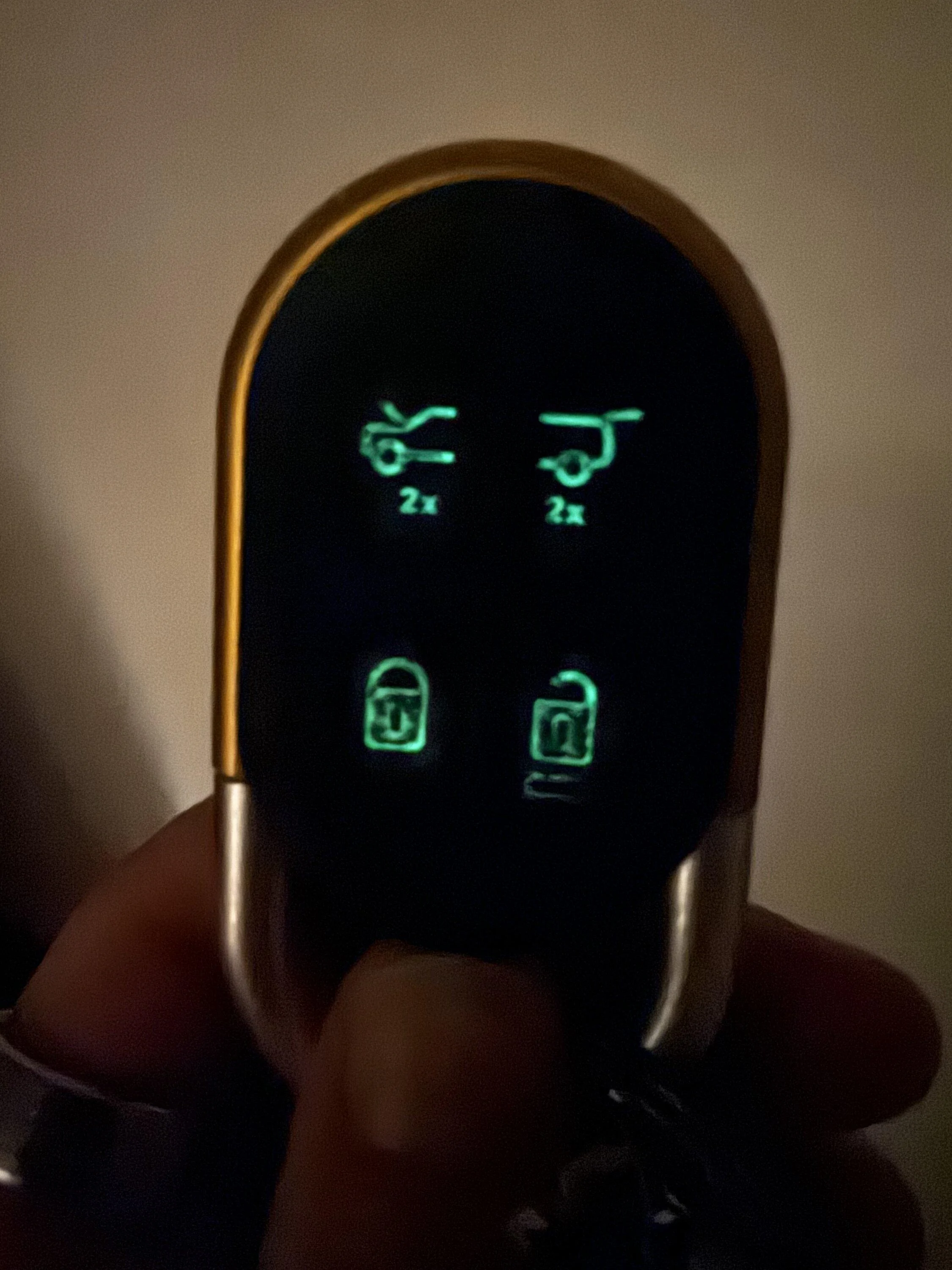 Rivian R1T R1S Glow in the dark painted key fob buttons... It glowsesss, precious! IMG_0681