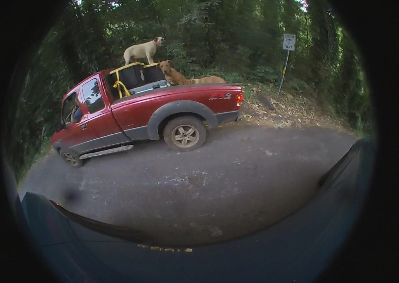 Rivian R1T R1S Funniest gear guard and drive cam videos? 09_08_23_144927_image_sideRight_t_Moment