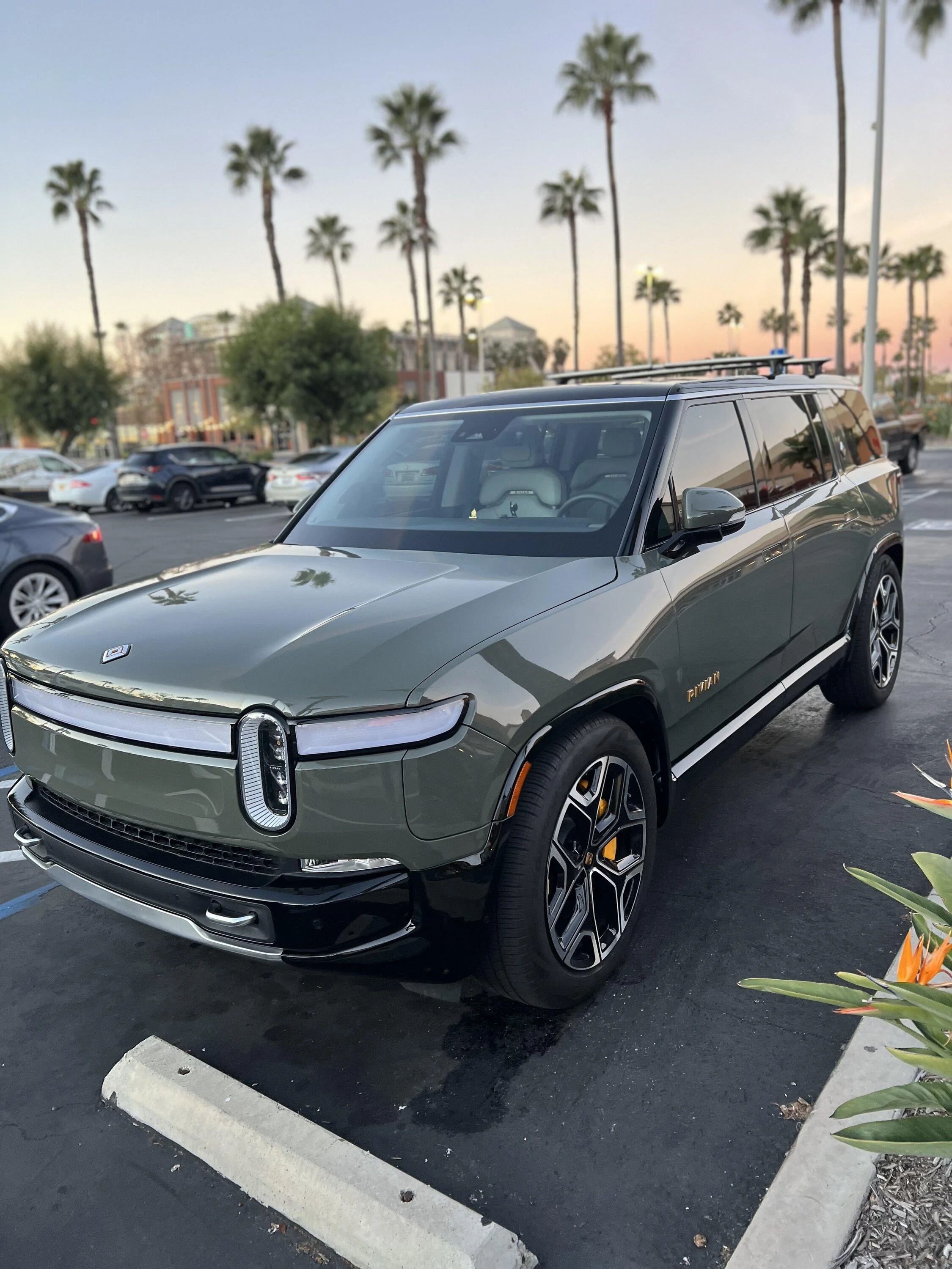 Rivian R1T R1S Has anyone painted their lower trims yet? IMG_4131[1]