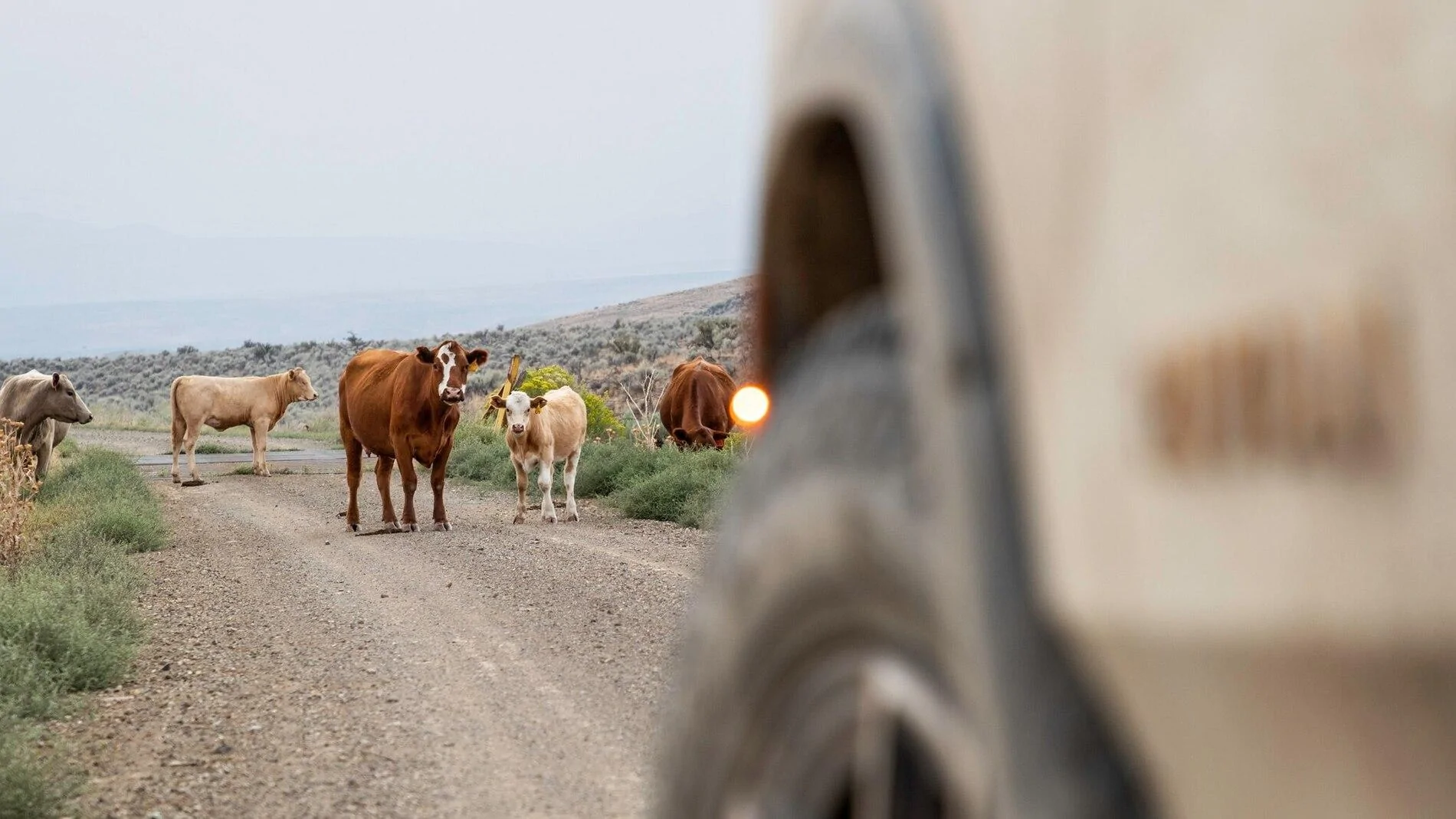 Rivian R1T R1S Part 2: We Drive the 2022 Rivian R1T Off-Road Across the Trans-America Trail - by MotorTrend 2022-Rivian-R1T-Leg-5-10