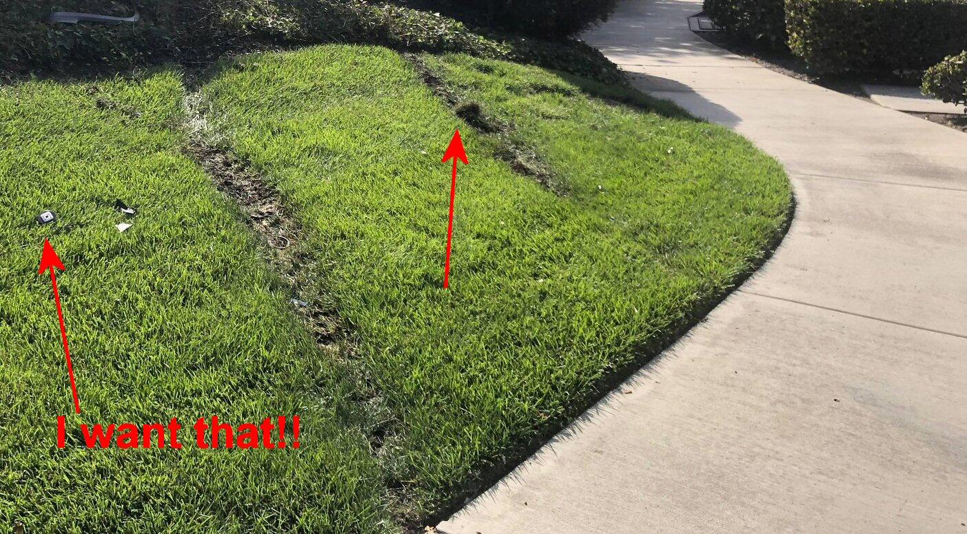 Accident Grass.jpg
