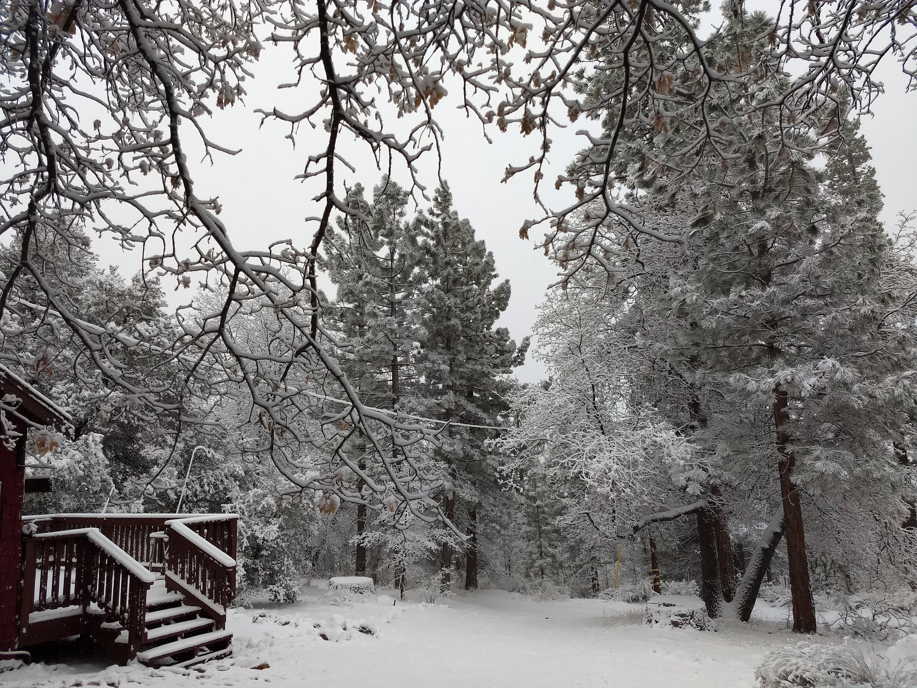 Rivian R1T R1S Ski weekend in Big Bear 2018-03-17 07.27.24
