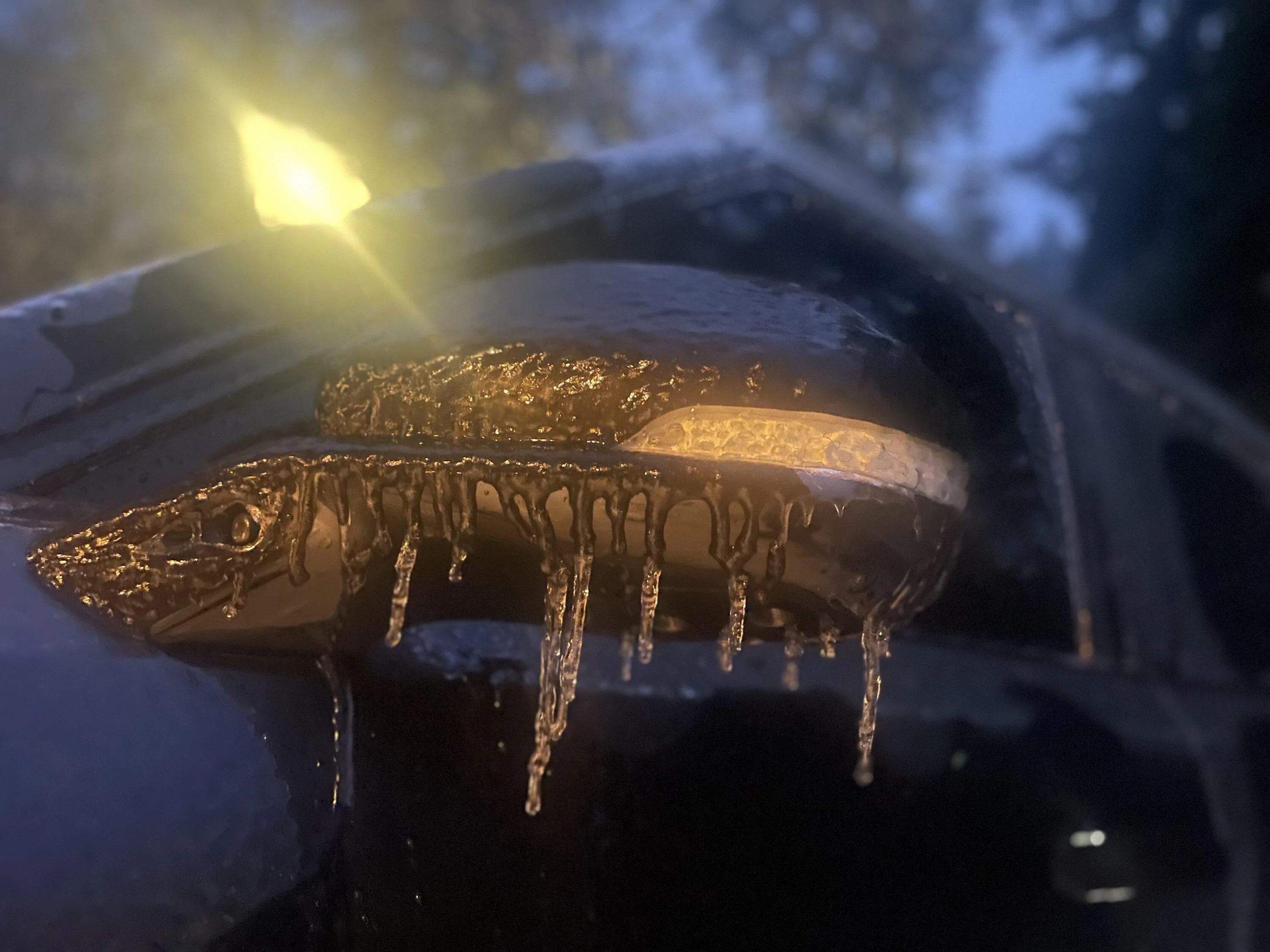 Rivian R1T R1S Ice storm pictures ? IMG_4919