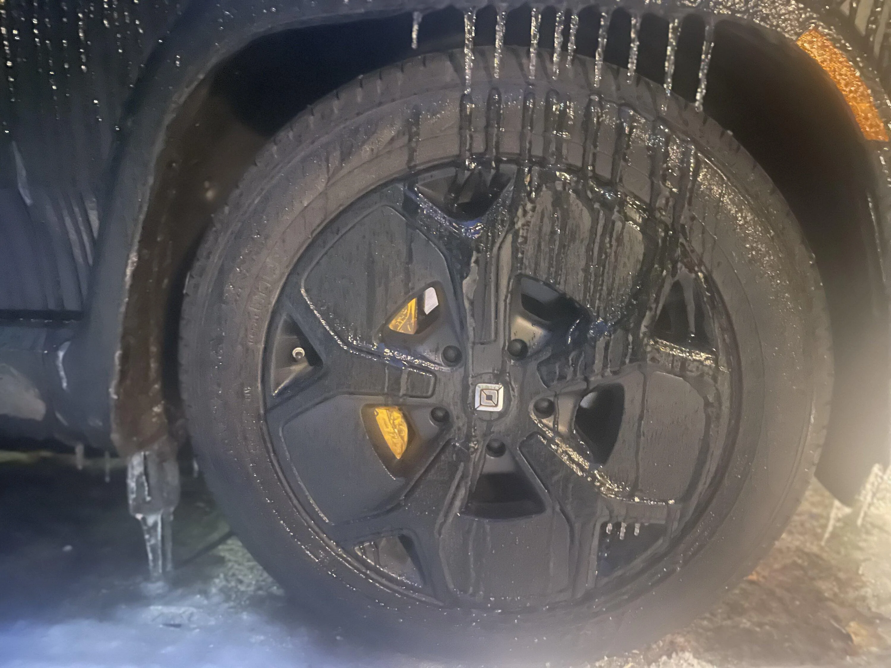 Rivian R1T R1S Ice storm pictures ? IMG_4913