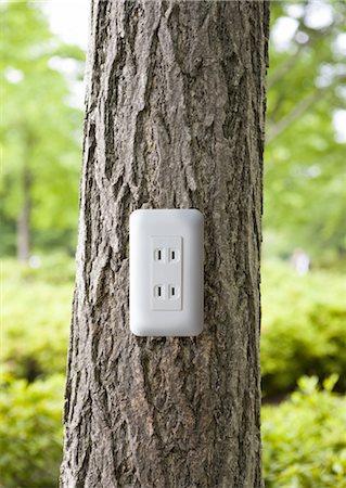 tree-outlet.jpg