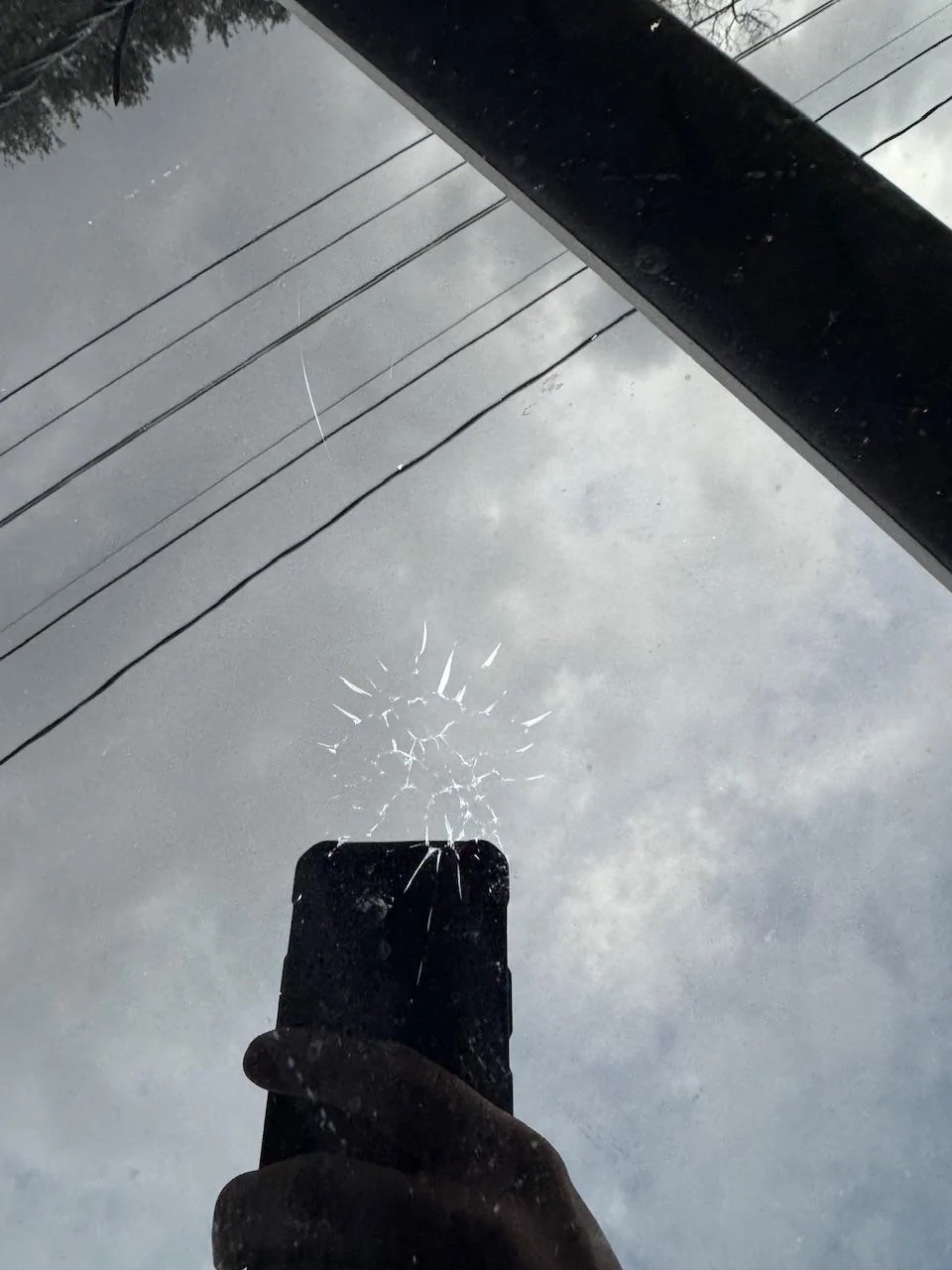 IMG_2506.jpeg