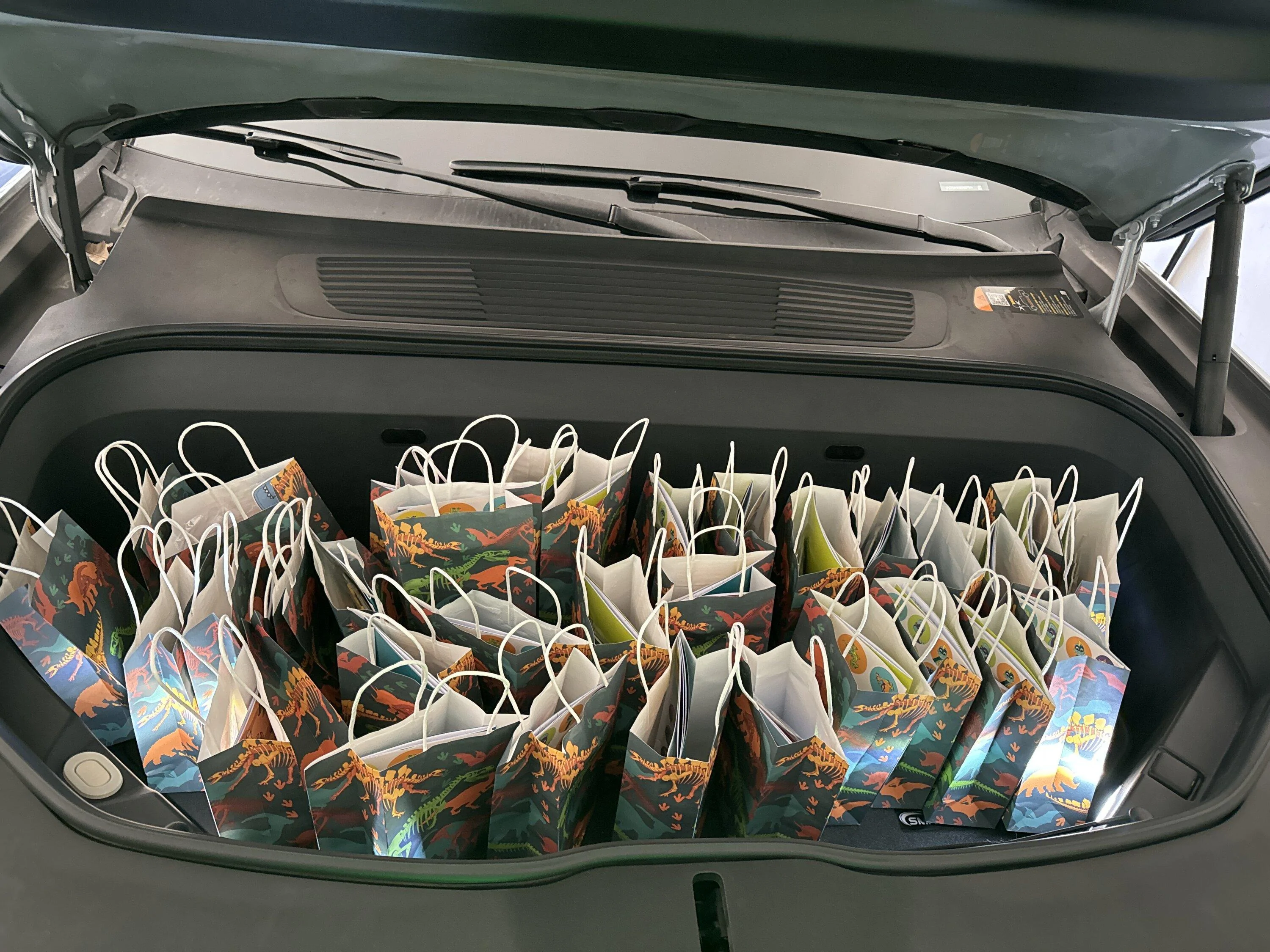 Rivian R1T R1S Goodie bags imag