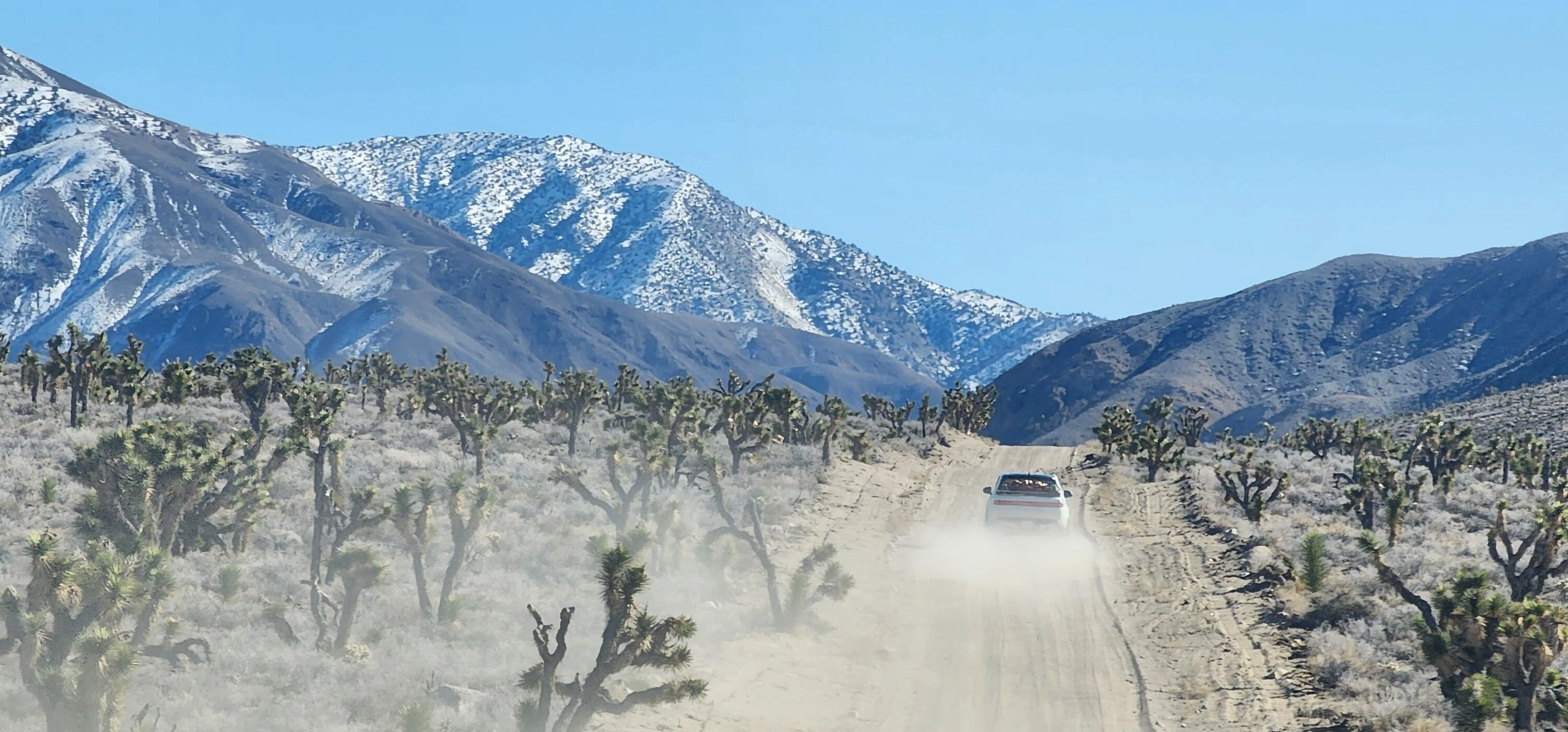 Rivian R1T R1S Winter Camping Gear Winners & Lessons! 20230128_131242