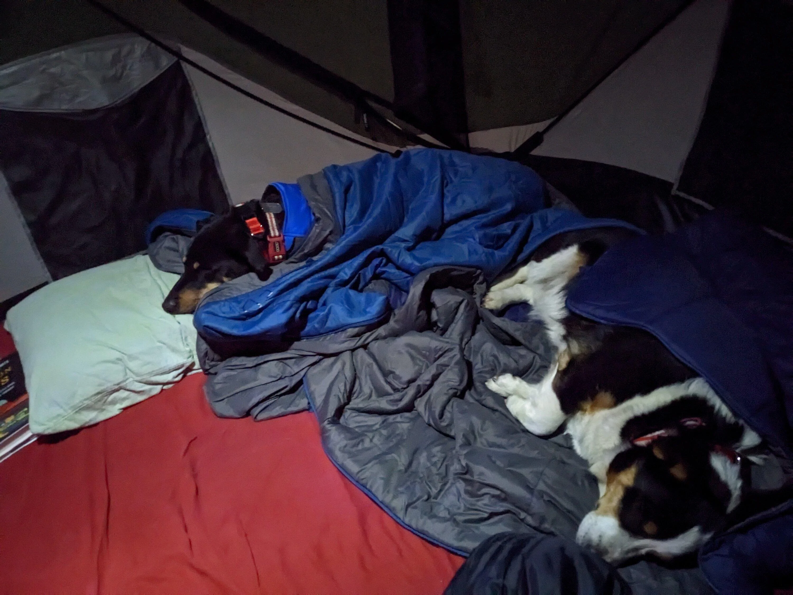 Rivian R1T R1S Winter Camping Gear Winners & Lessons! PXL_20240127_051024263.NIGHT