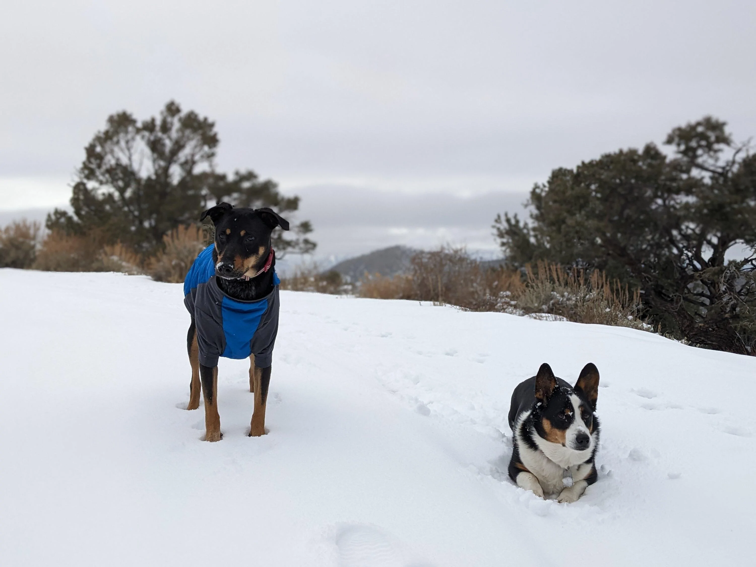 Rivian R1T R1S Winter Camping Gear Winners & Lessons! PXL_20240124_205044771.PORTRAIT