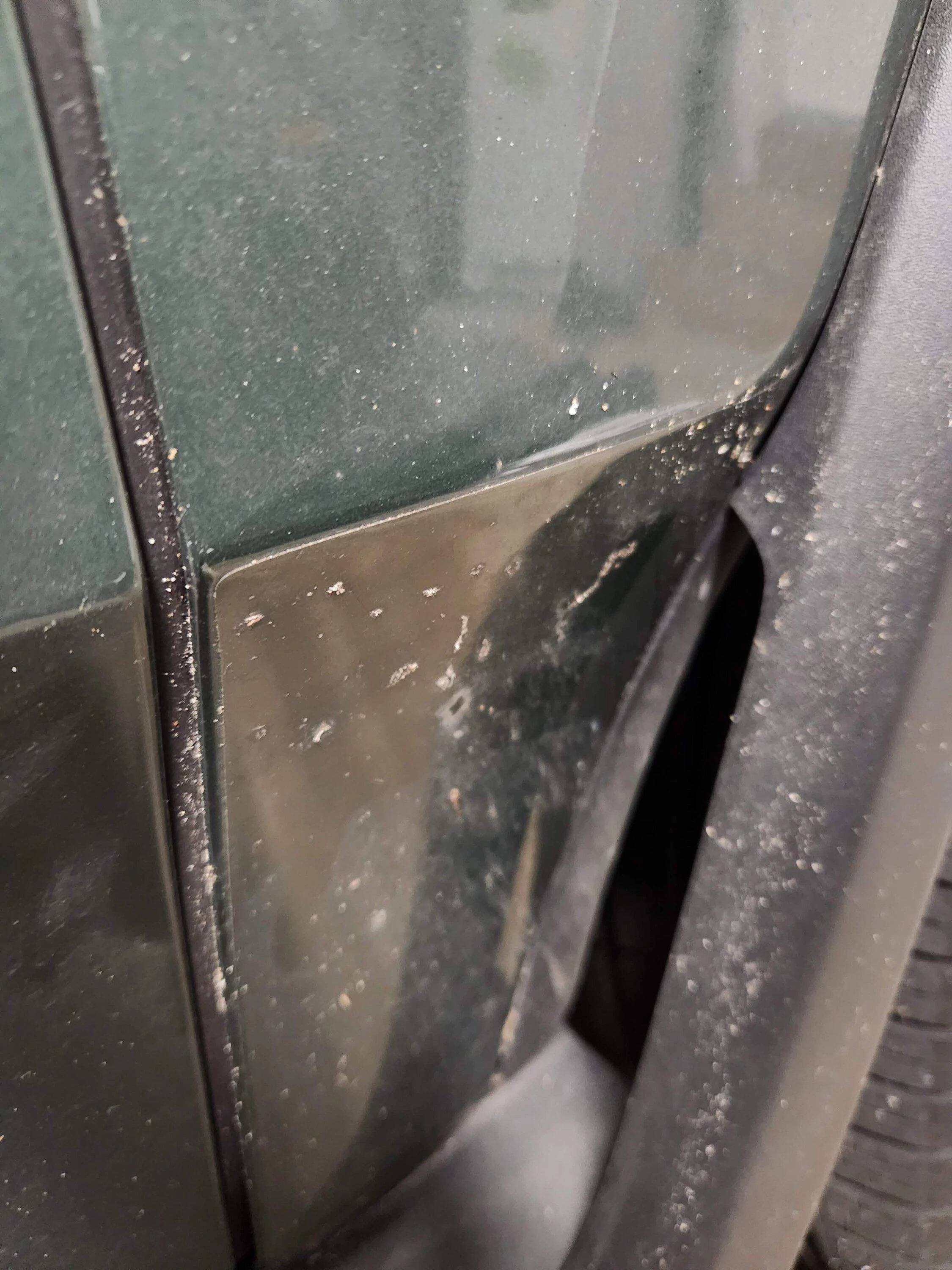 Rivian R1T R1S Is Xpel wrap worth it?  After nearly 30,000 miles... probably not! 20240130_111514