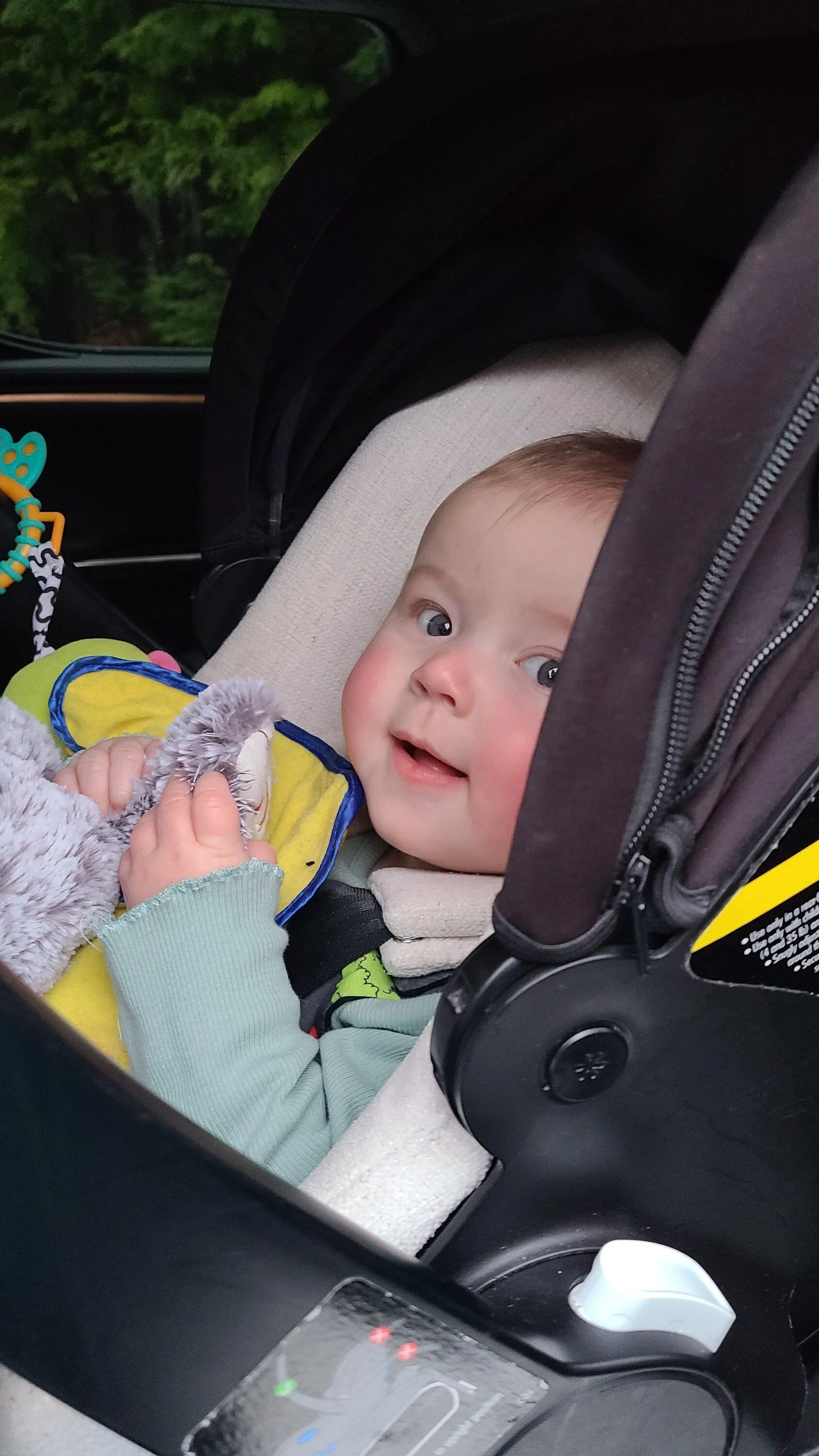 Rivian R1T R1S R1T Car Seat Anyone? 20231220_081604