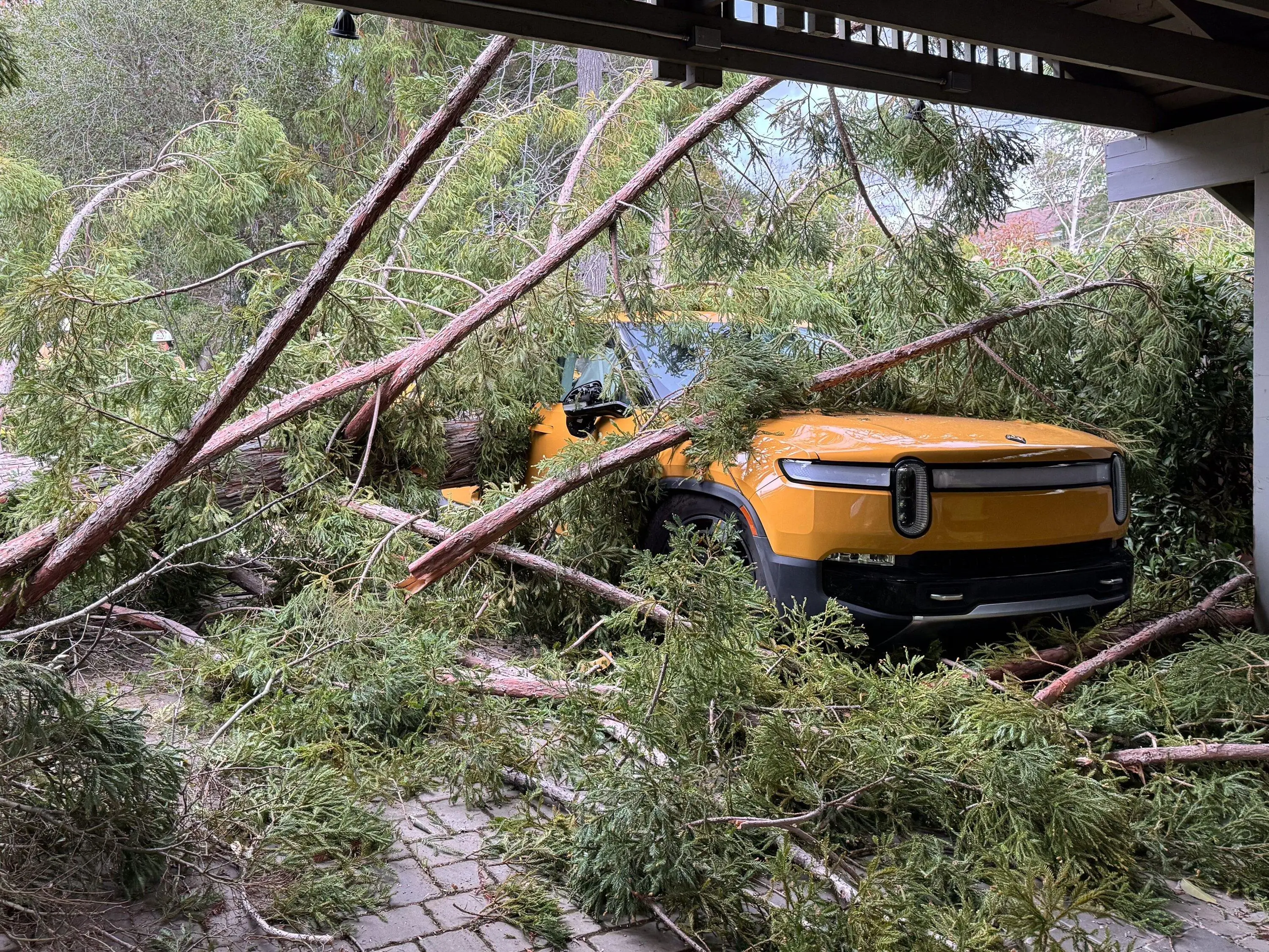 Rivian R1T R1S Rivian crushed by tree in California storm 1000012503