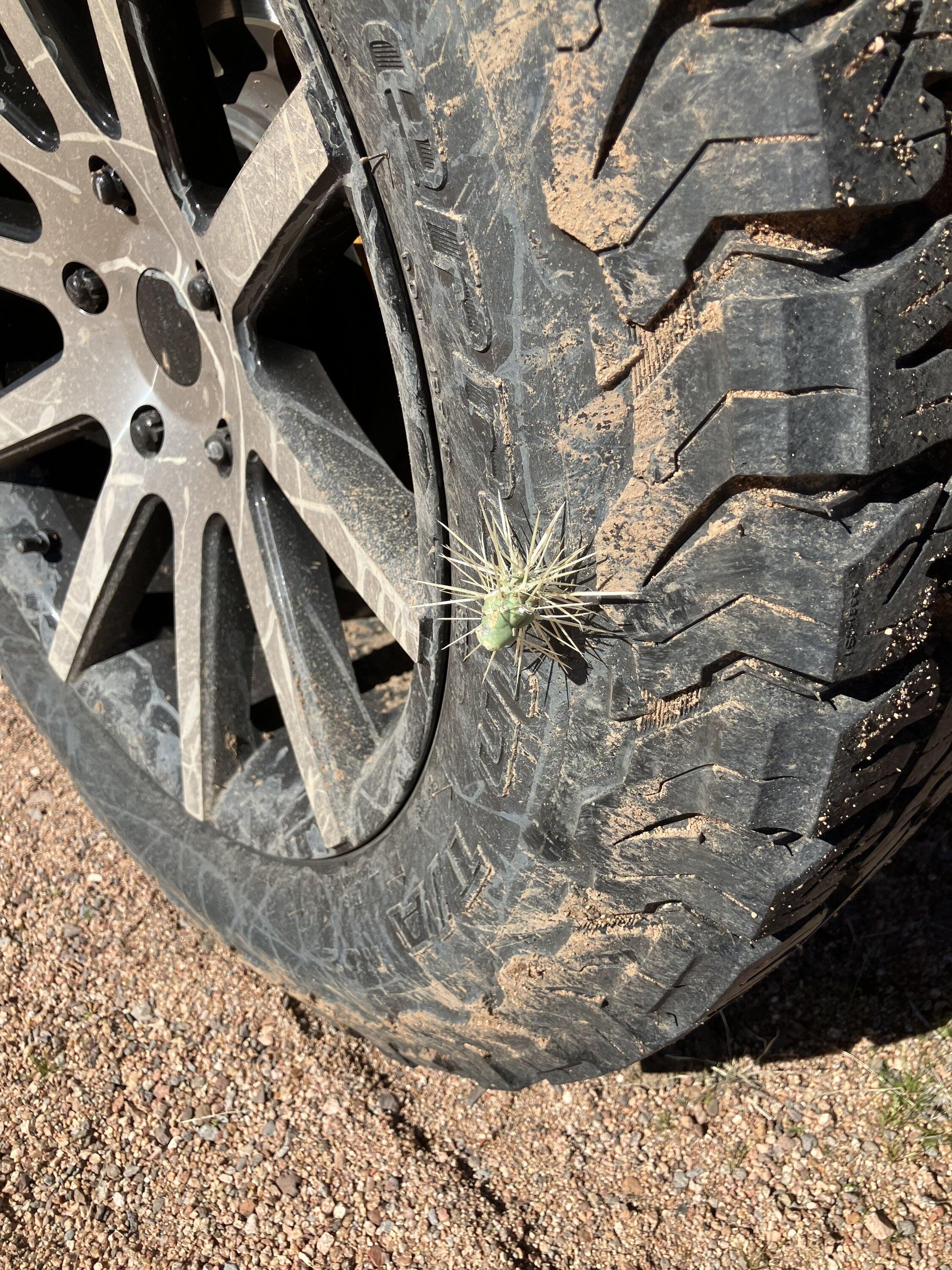 Rivian R1T R1S Fun in the Tucson Sun - mud and other debris offroading IMG_3530