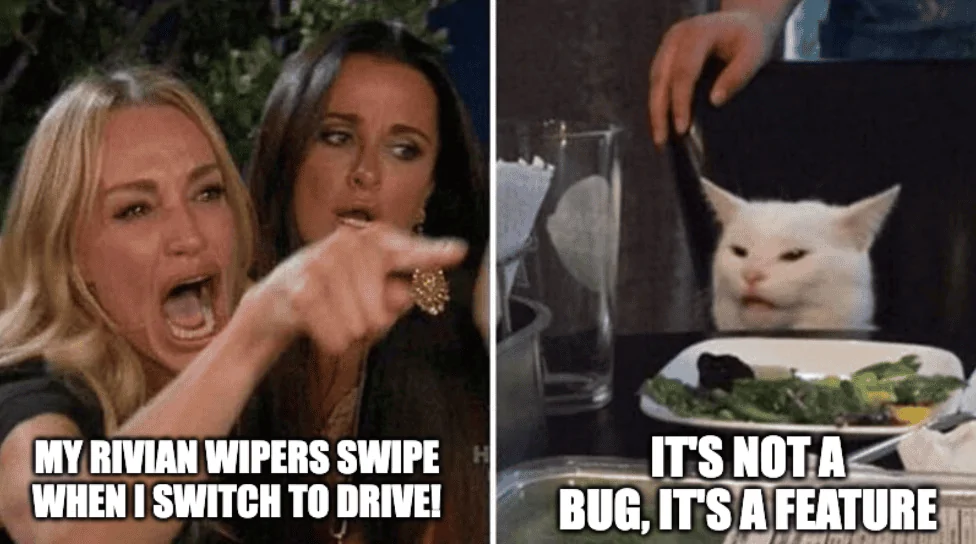 Rivian R1T R1S Wipers come on when switching to drive 1708282143053