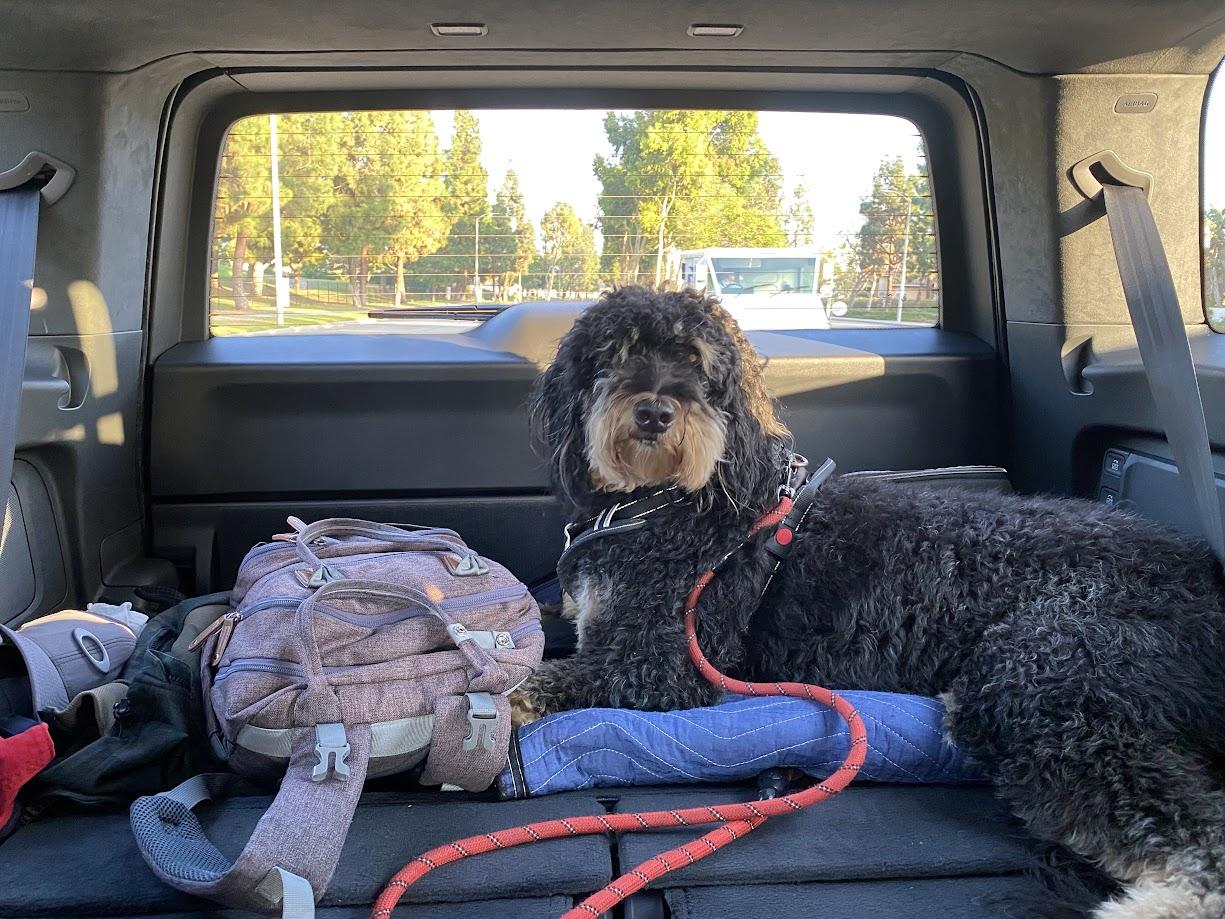 Rivian R1T R1S Dogs and Rivians ? F9E3FC93-5688-442E-B26D-2FEB4BA27116