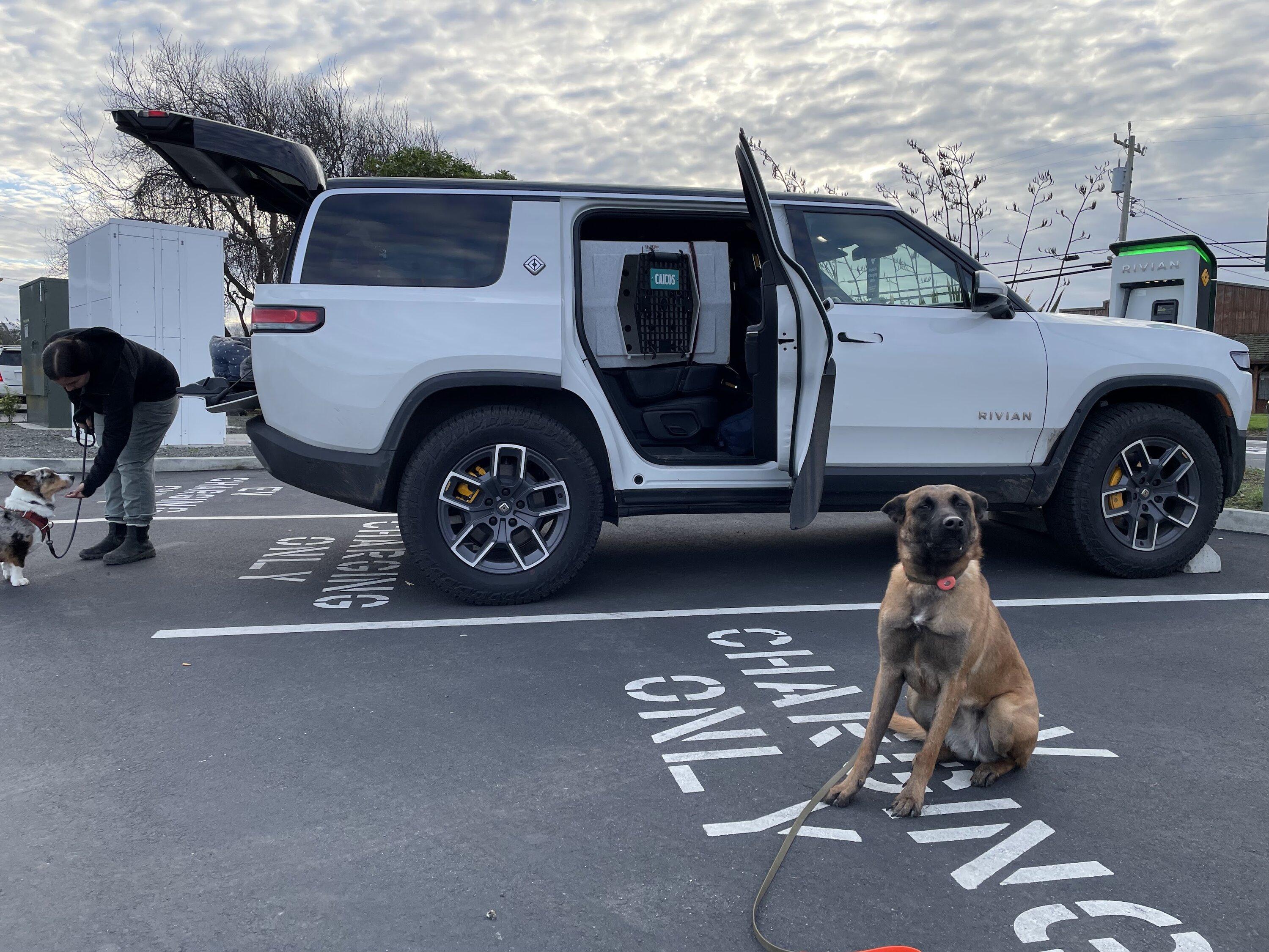 Rivian R1T R1S Dogs and Rivians ? IMG_6579