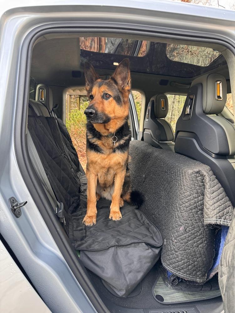 Rivian R1T R1S Dog Platform Bench custom DIY made for R1T back seat IMG_1276