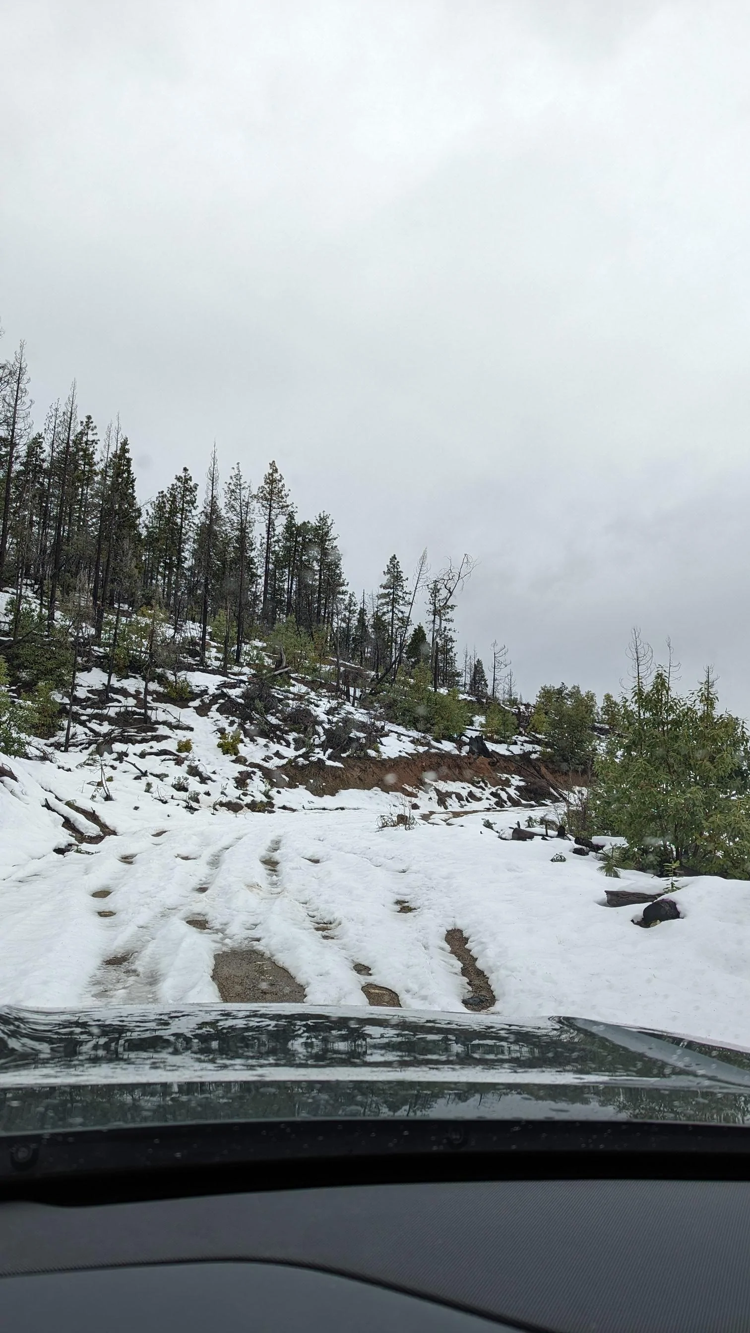 Rivian R1T R1S R1 Enduro, requested behavior test PXL_20240311_203702472
