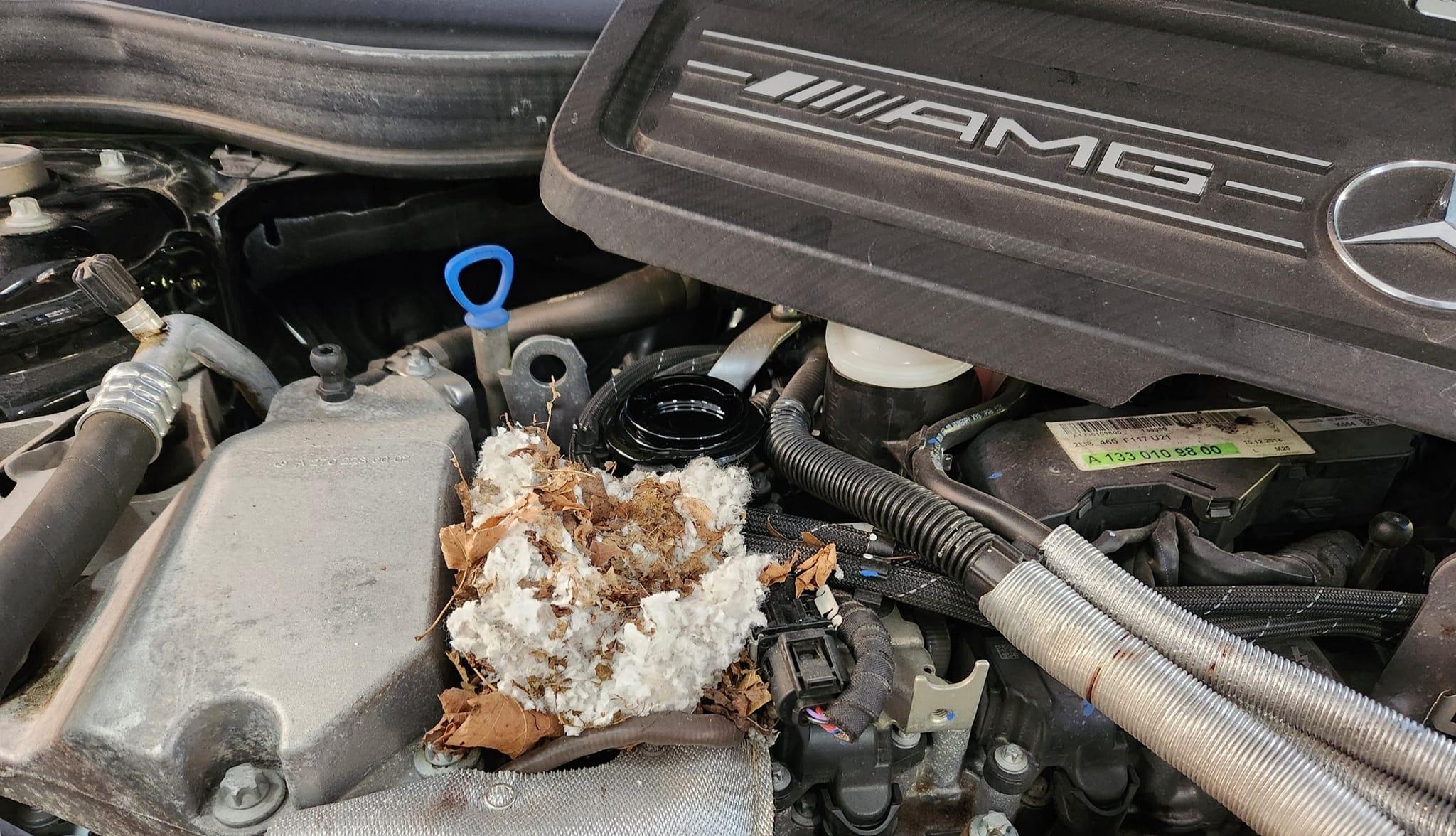 Rivian R1T R1S Rodent attack...now what? 310082027_10228972347677515_4559760566359162061_n