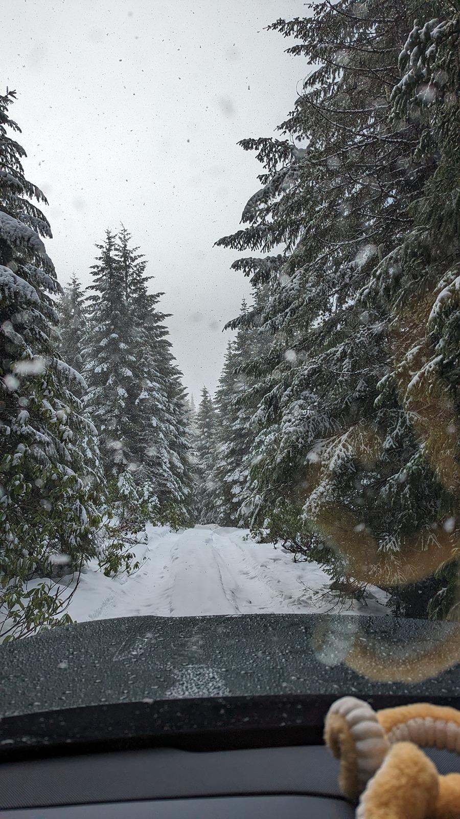 Rivian R1T R1S Where are the Rivian "adventurers"? 1000001923