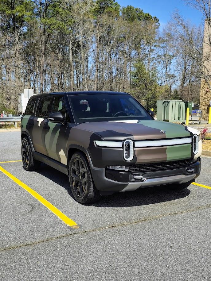 Full Article: Notoginsenoside R1 Restrains The Proliferation And Australia