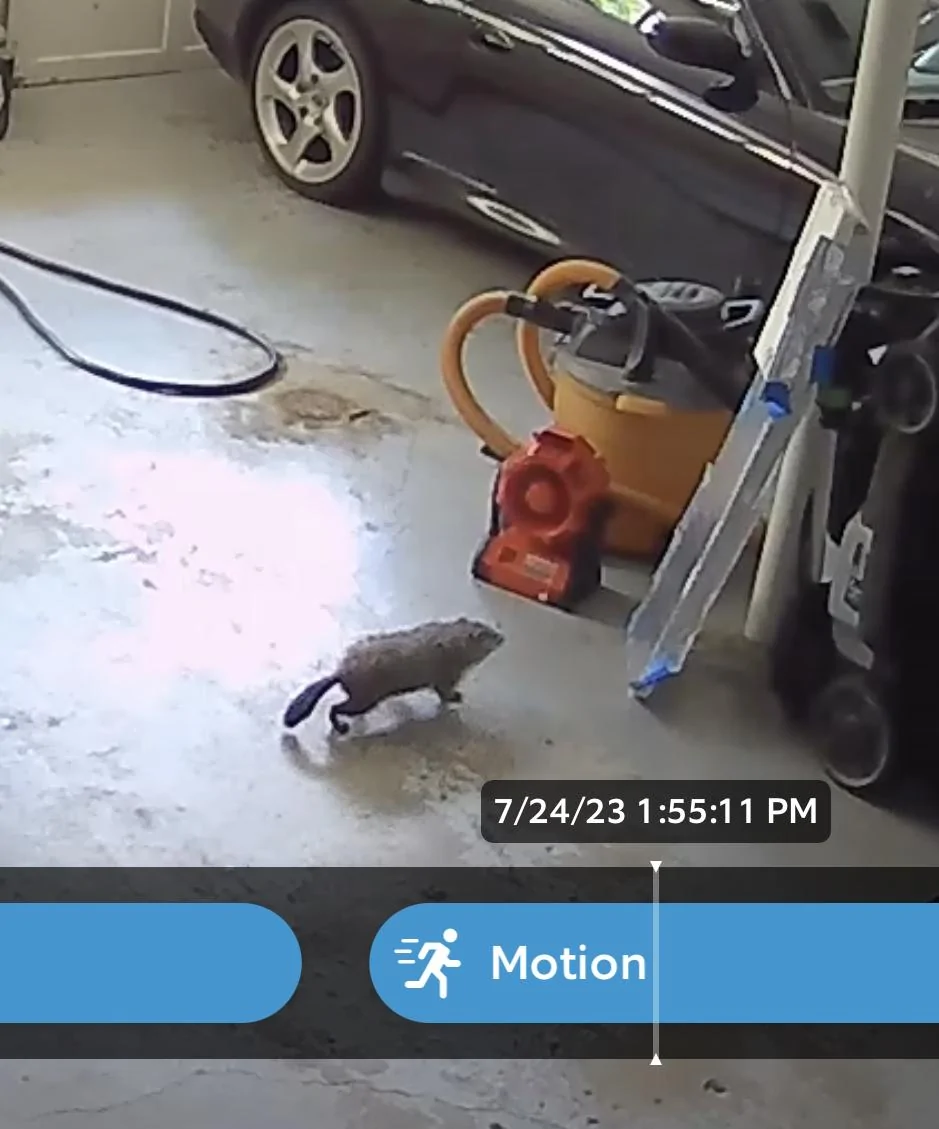 Rivian R1T R1S Rodent attack...now what? IMG_2170