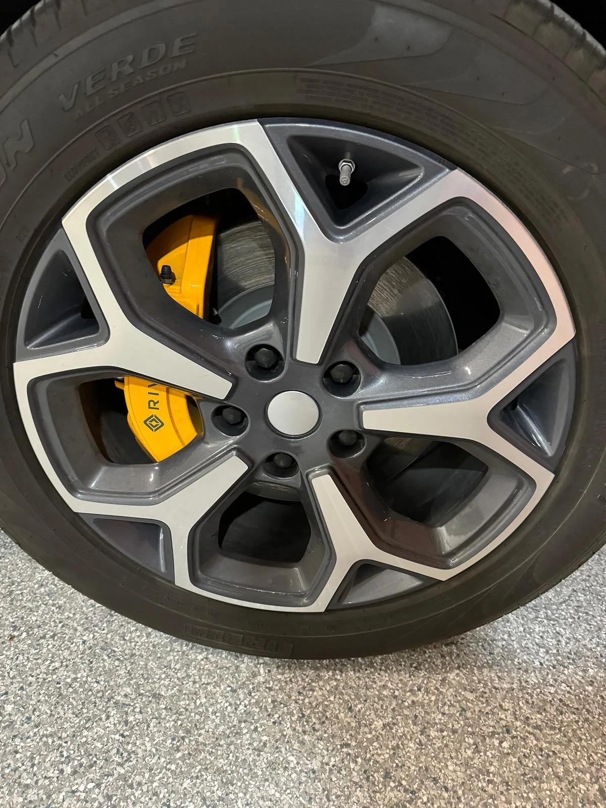 Rivian R1T R1S WTB- Center Caps-need 3 IMG_0065