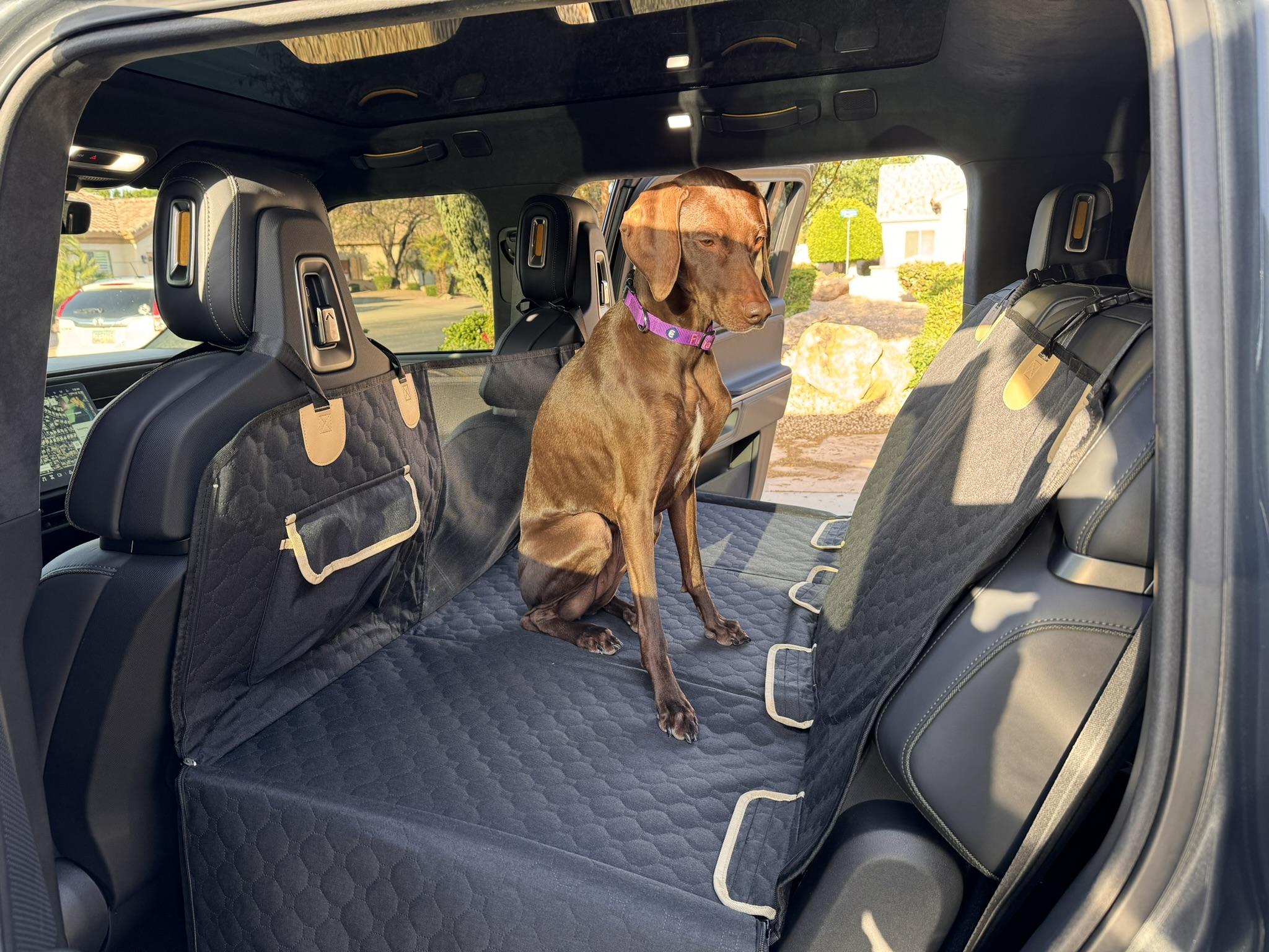 Rivian R1T R1S Solid Floor Dog Hammock IMG_8077