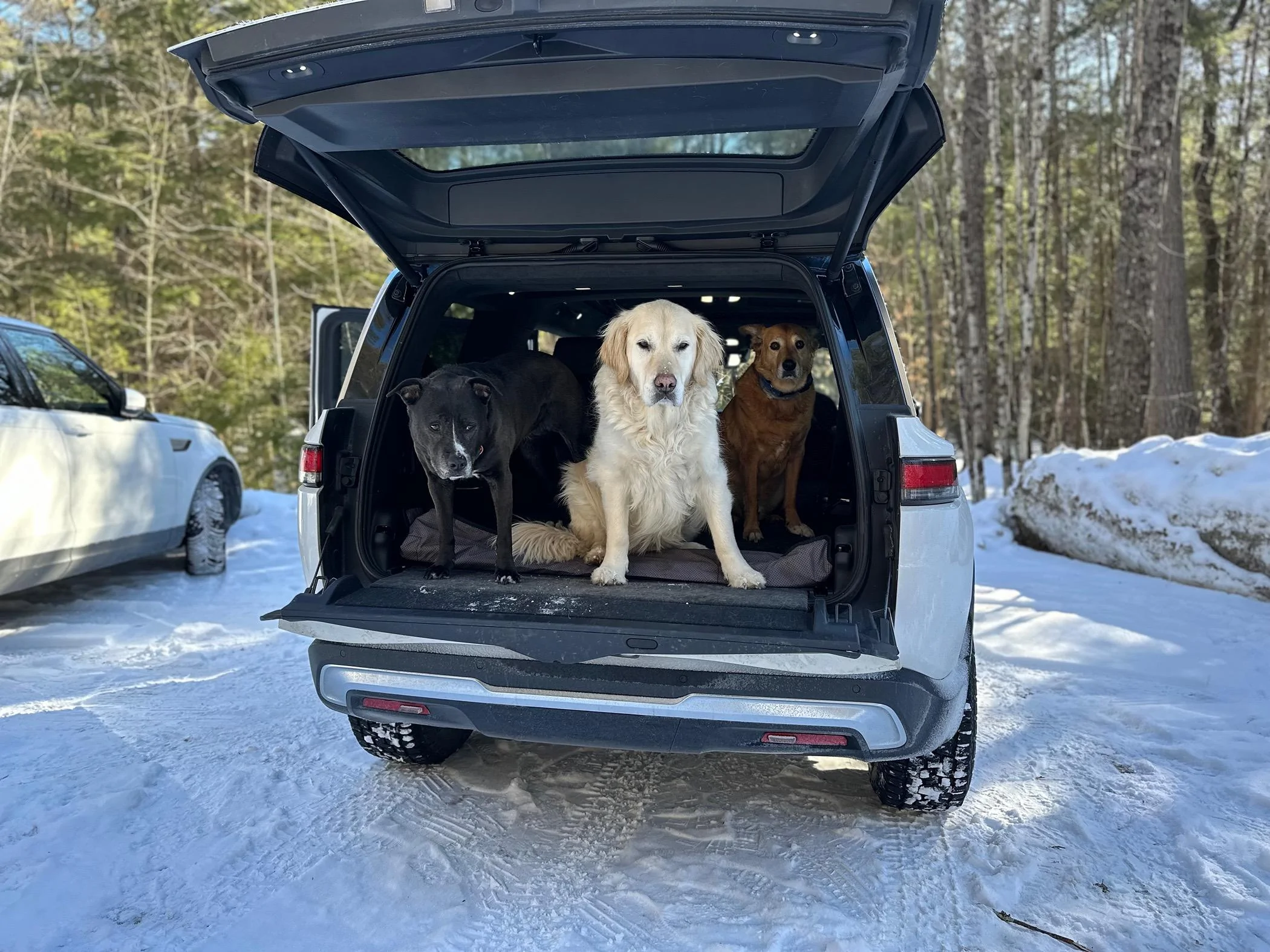 Rivian R1T R1S Dog steps for R1S? IMG_4717