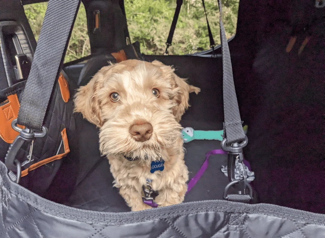 Rivian R1T R1S Solid Floor Dog Hammock 1000009770